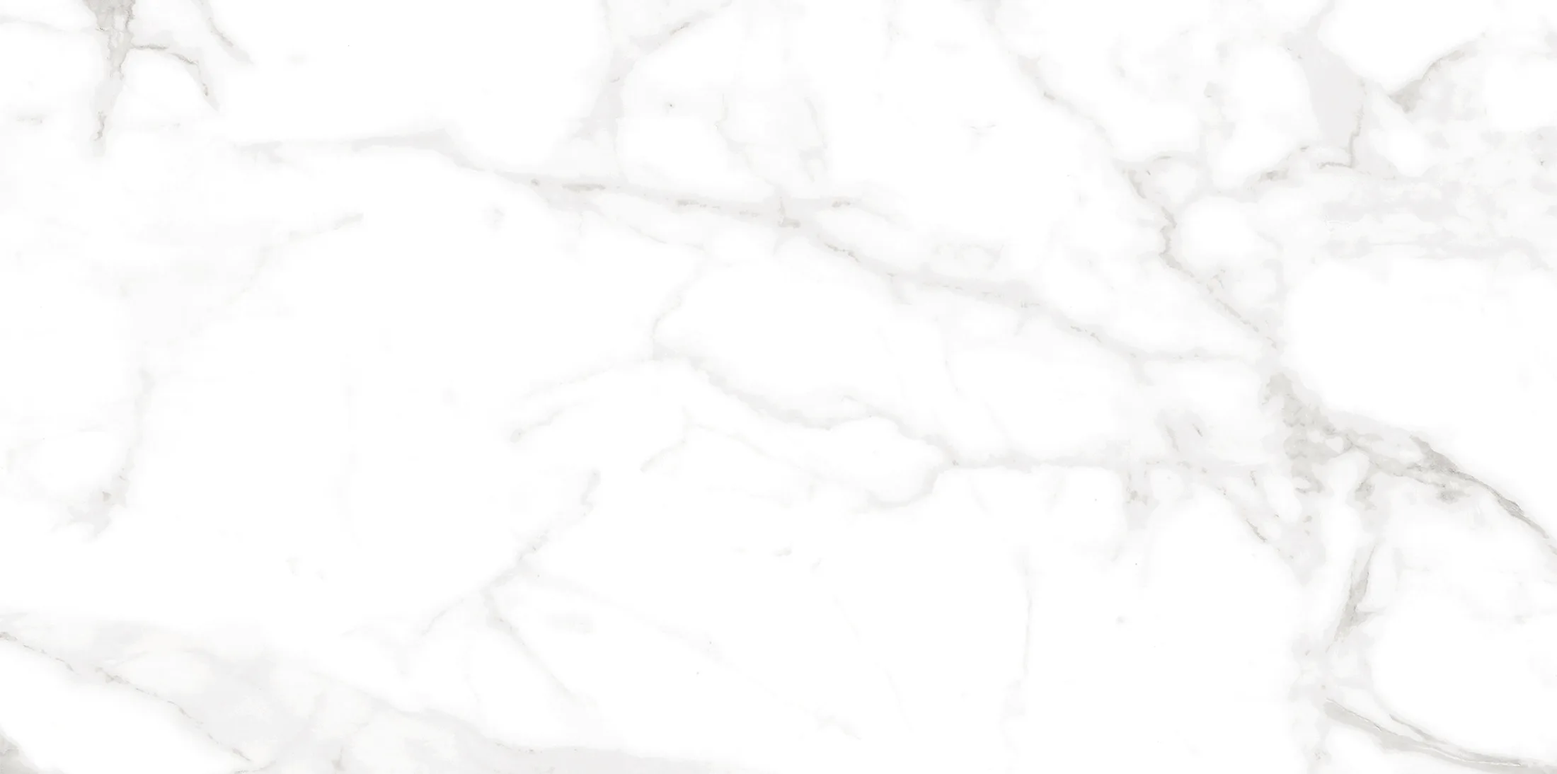 Altezza Carrara · 11
