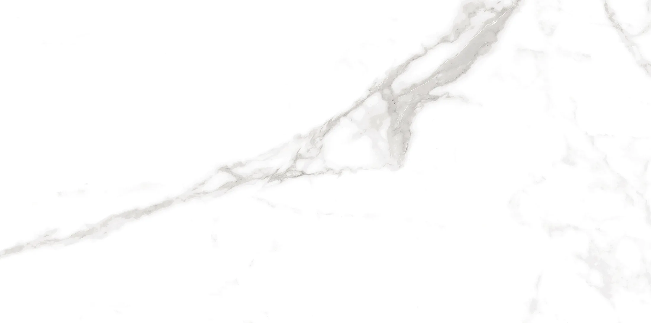 Altezza Carrara · 12