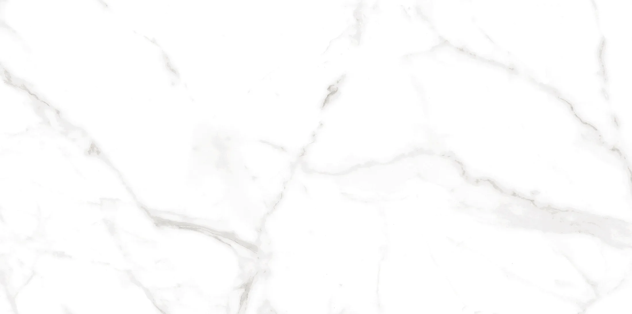 Altezza Carrara · 13