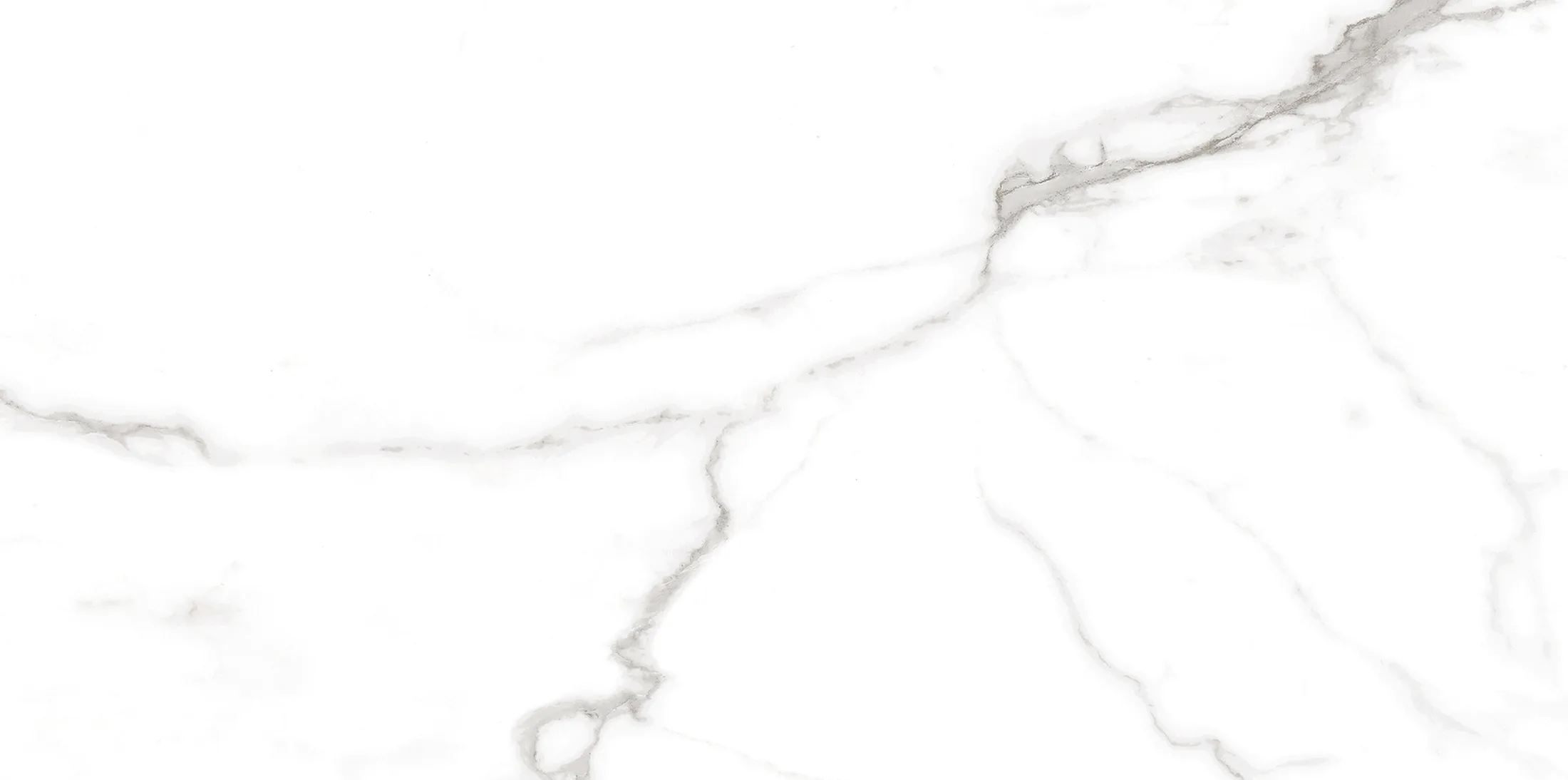 Altezza Carrara · 14