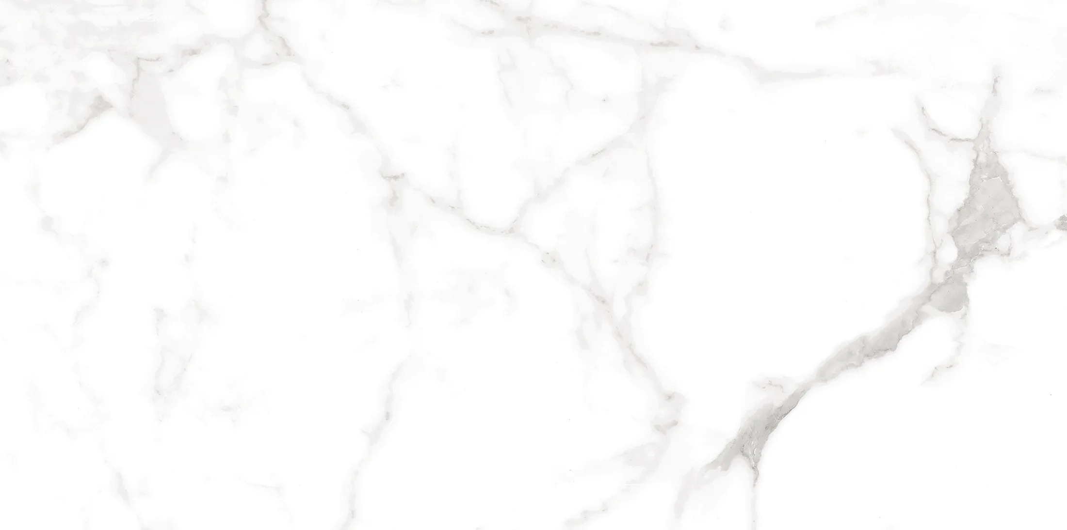 Altezza Carrara · 15