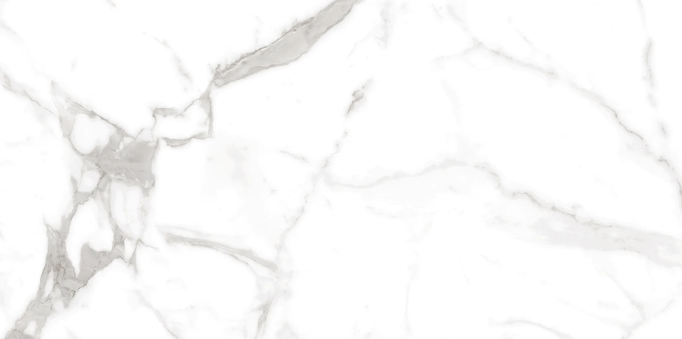 Altezza Carrara · 16