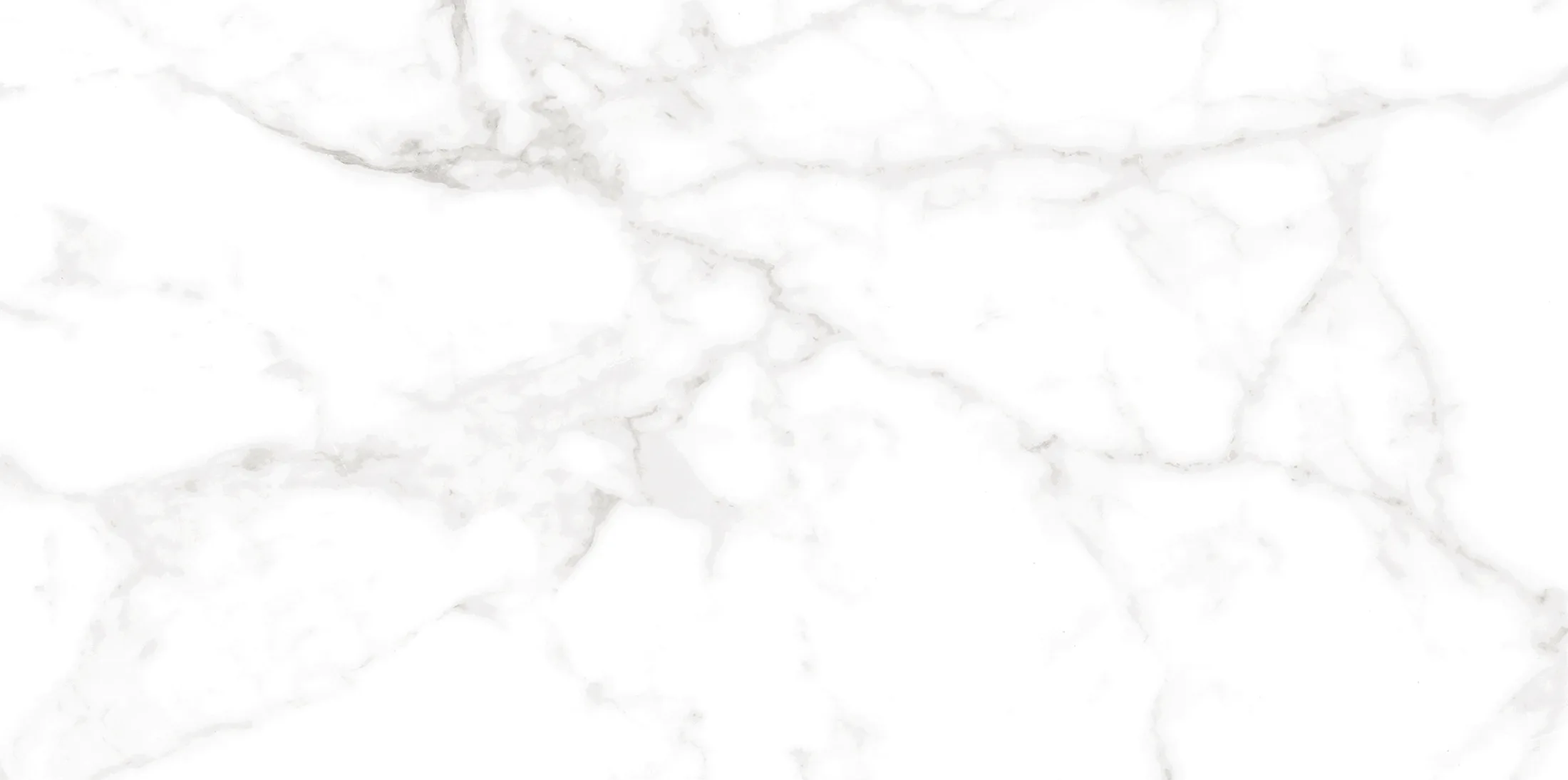 Altezza Carrara · 5