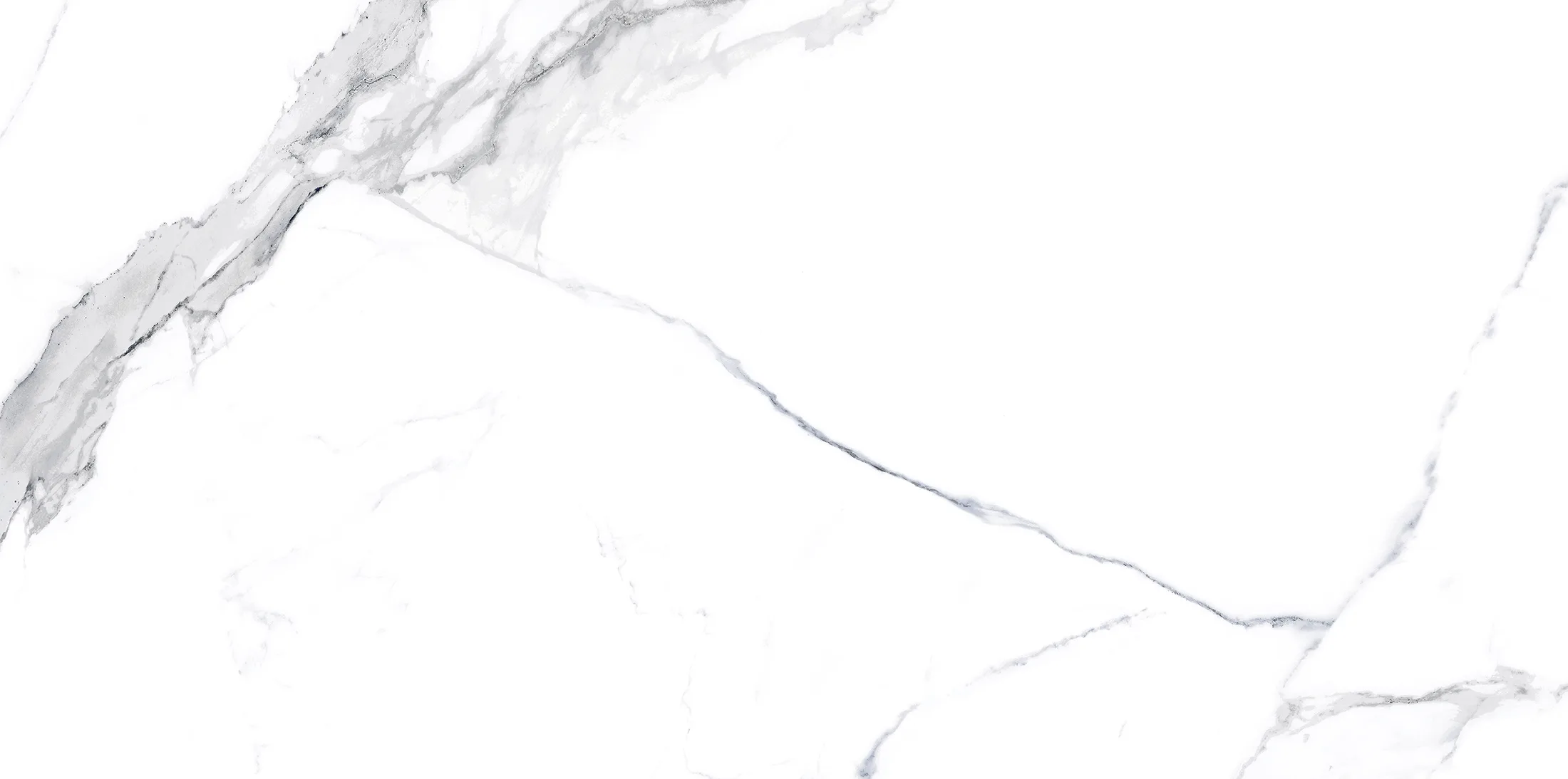 Calacatta Blue · 14