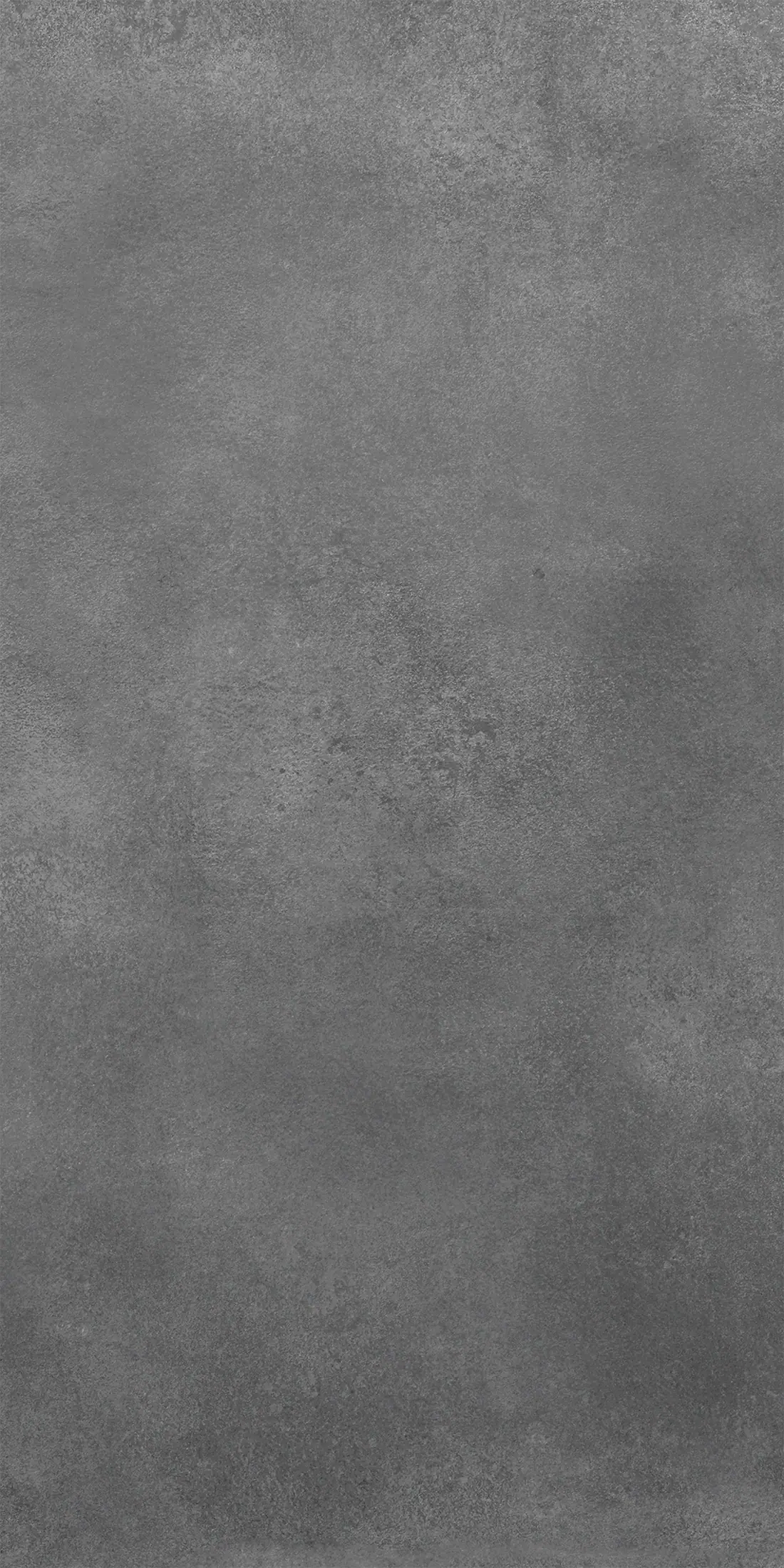 Grazia Black · R6