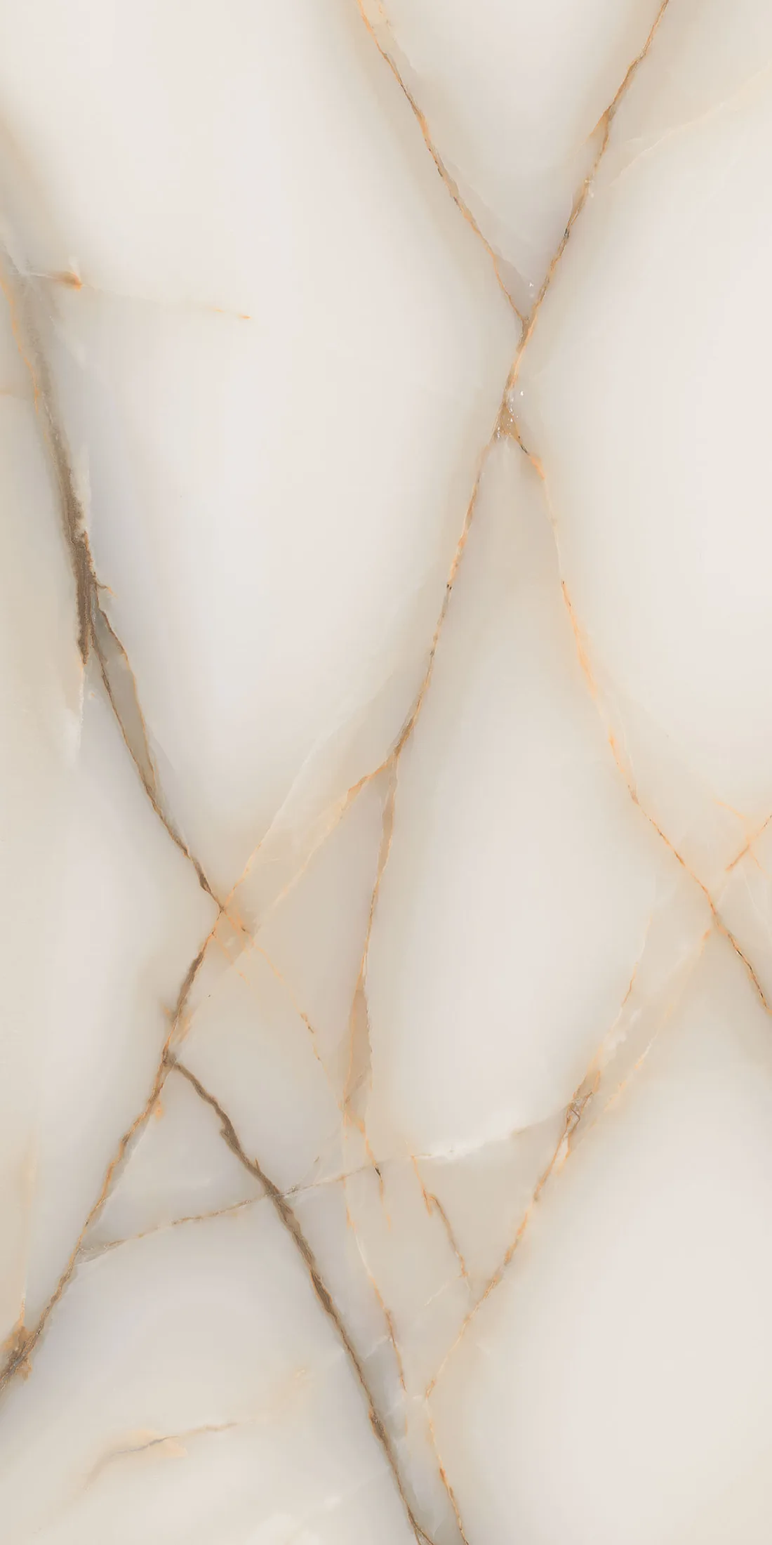 Regina Gold · R3