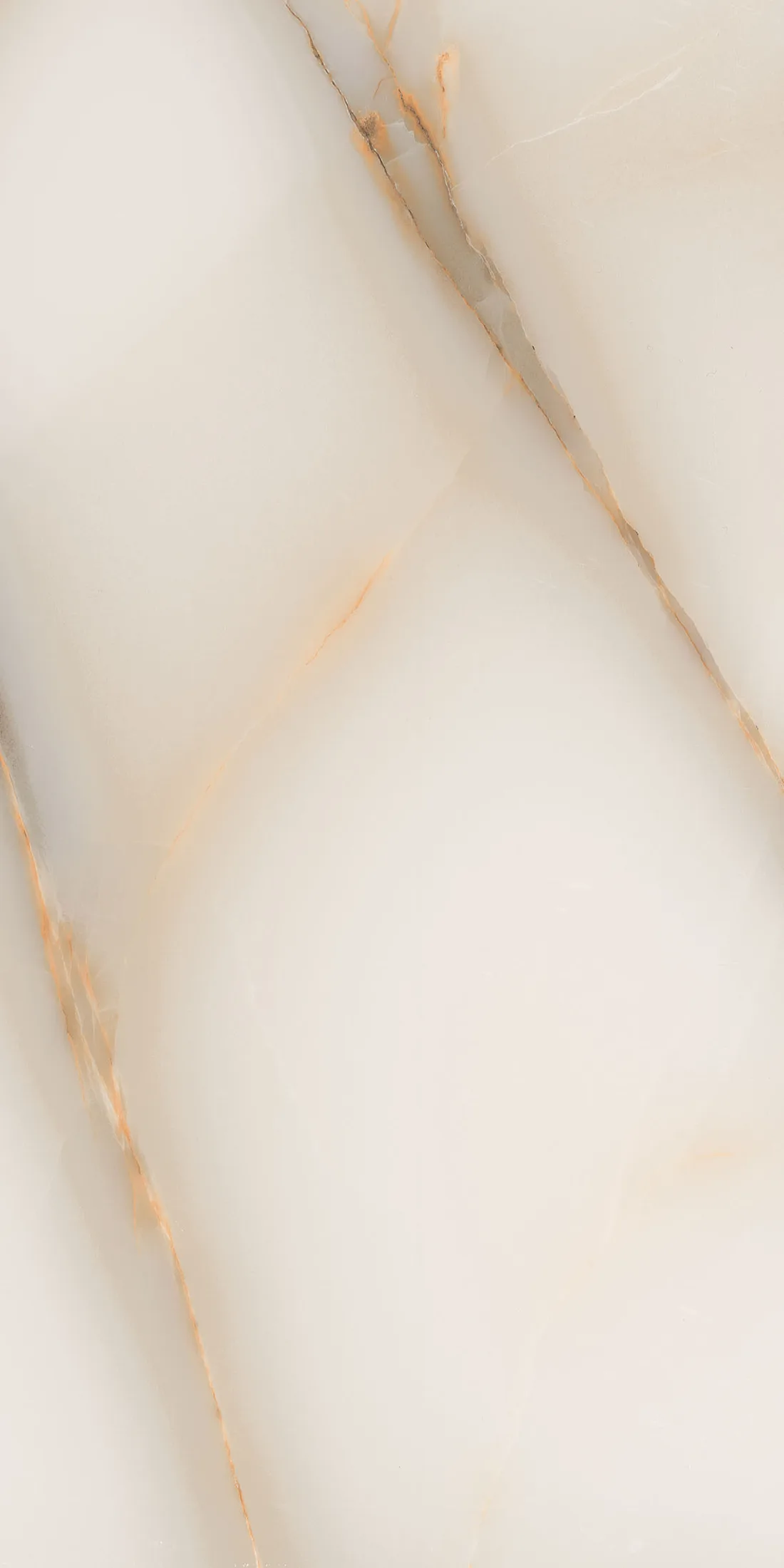 Regina Gold · R4