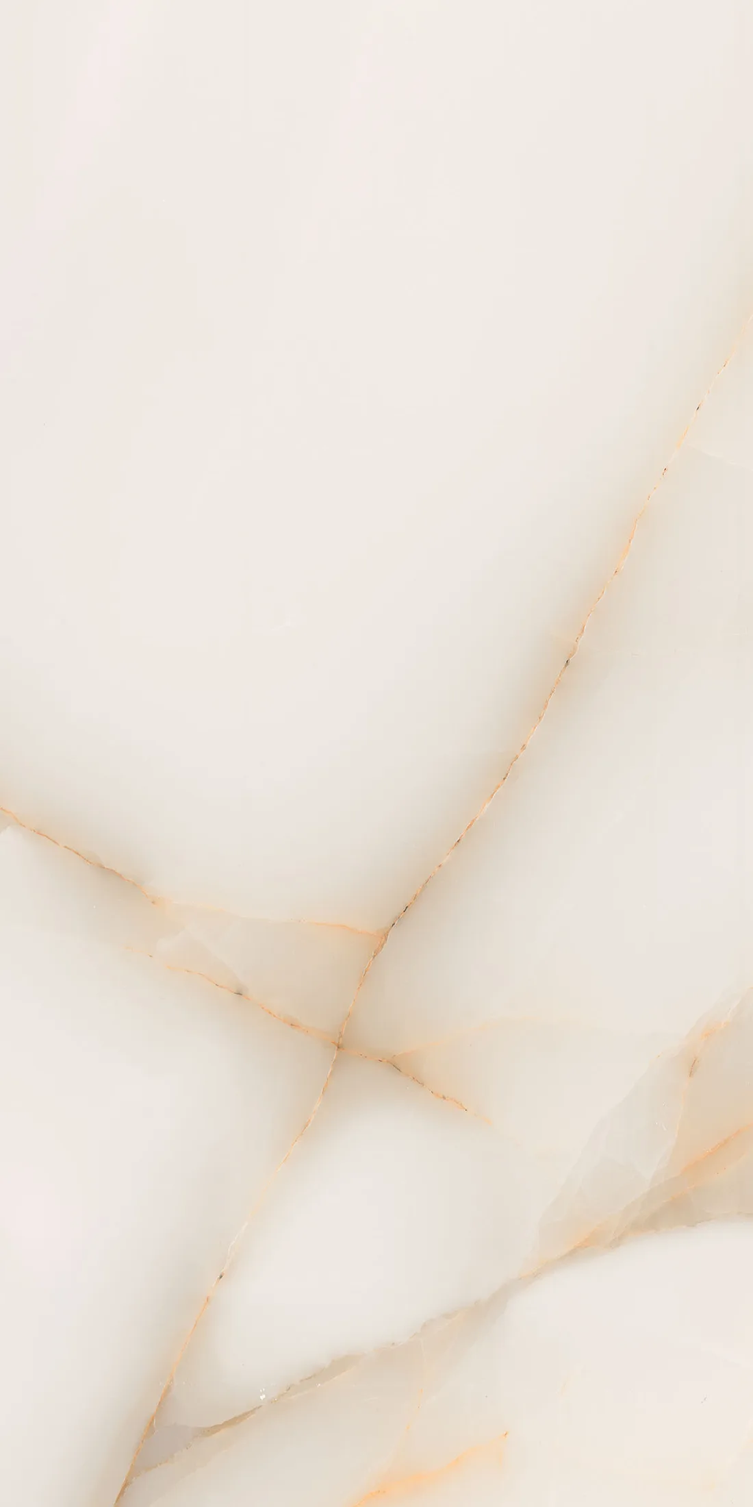 Regina Gold · R6
