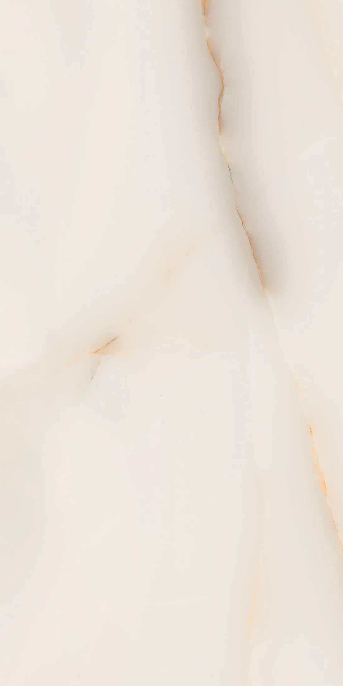 Regina Gold · R7
