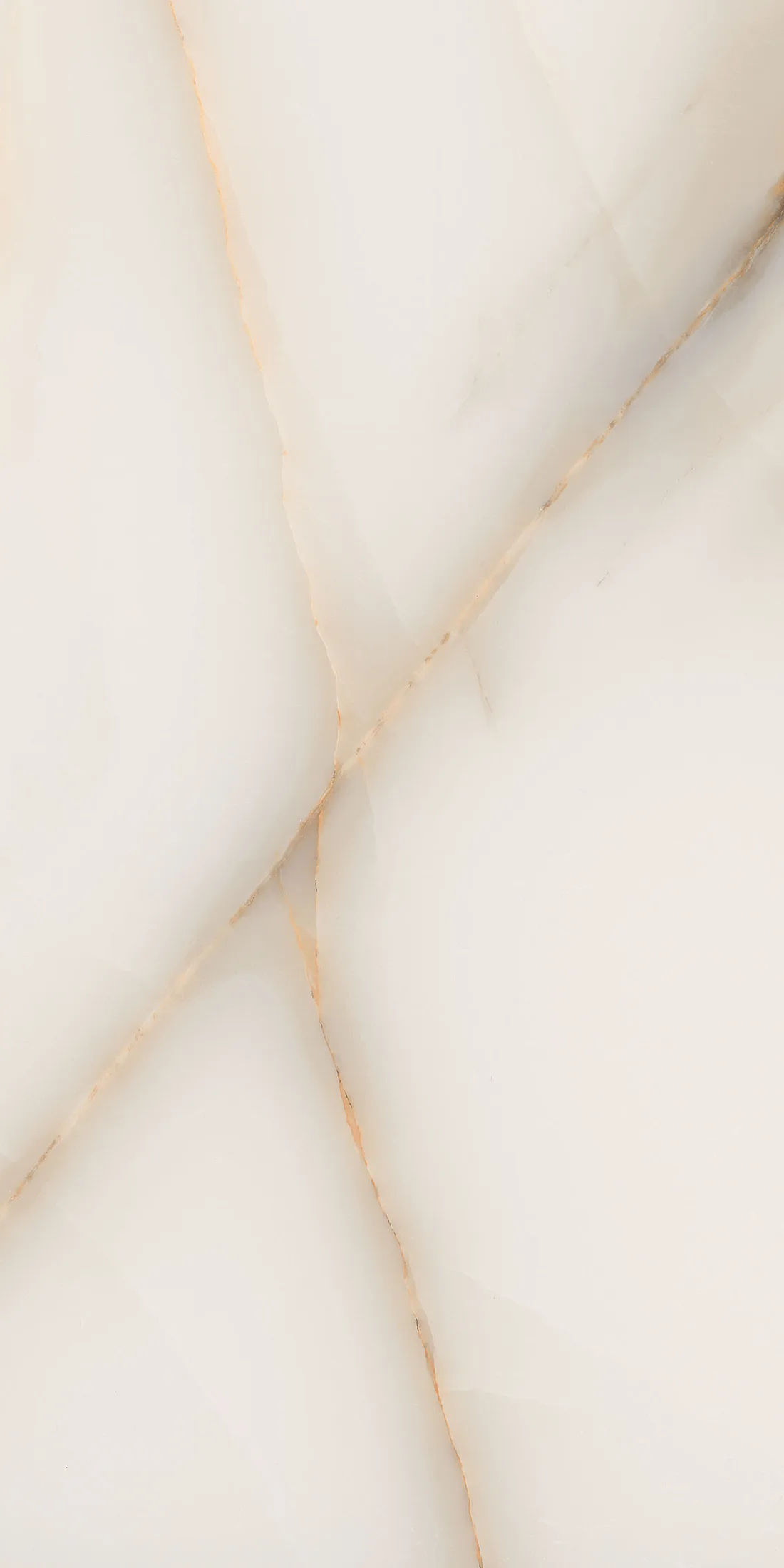 Regina Gold · R8