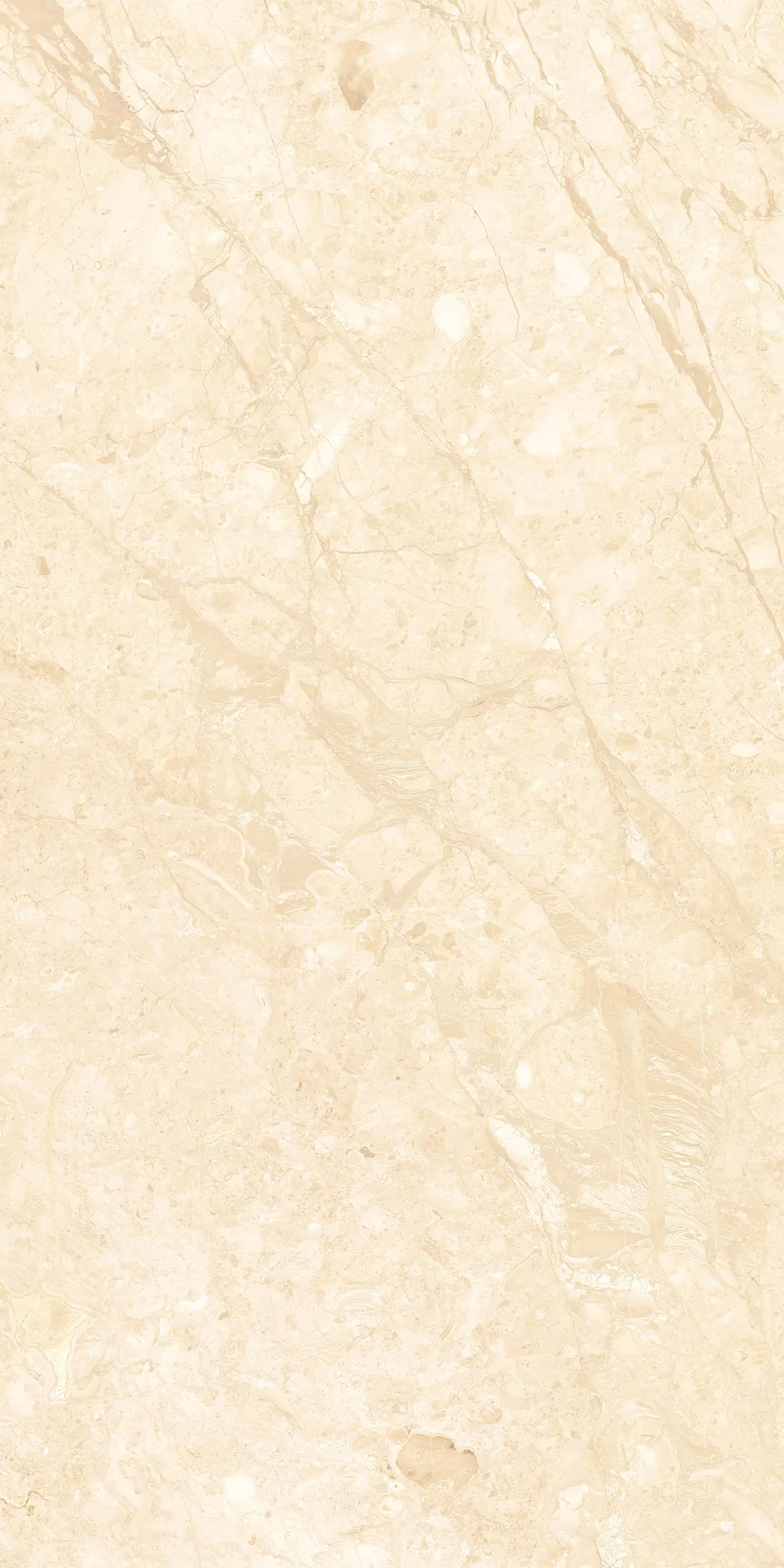 Benton Ivory · R2