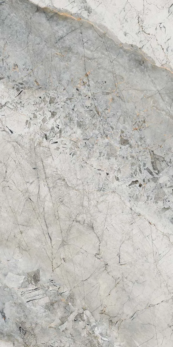 Canary Grey (Ads 678 C) Copy · 2