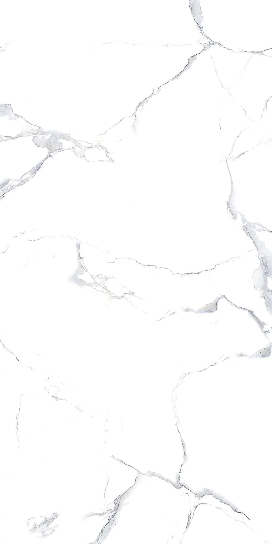 Cola Satavario (All 00153) · P2