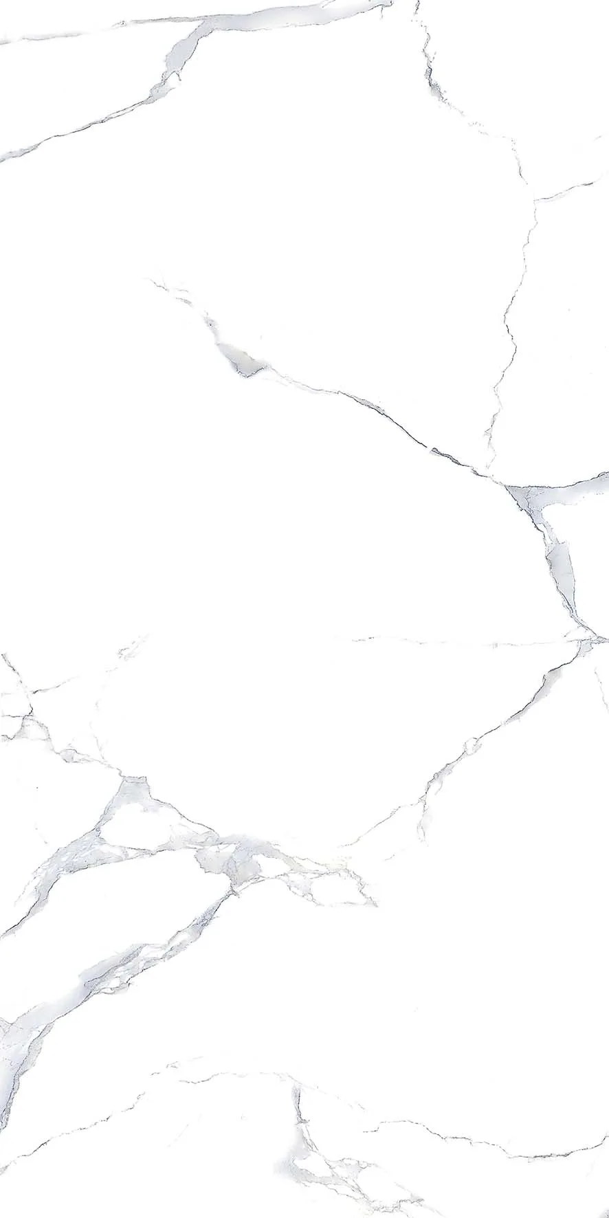 Cola Satavario (All 00153) · P3