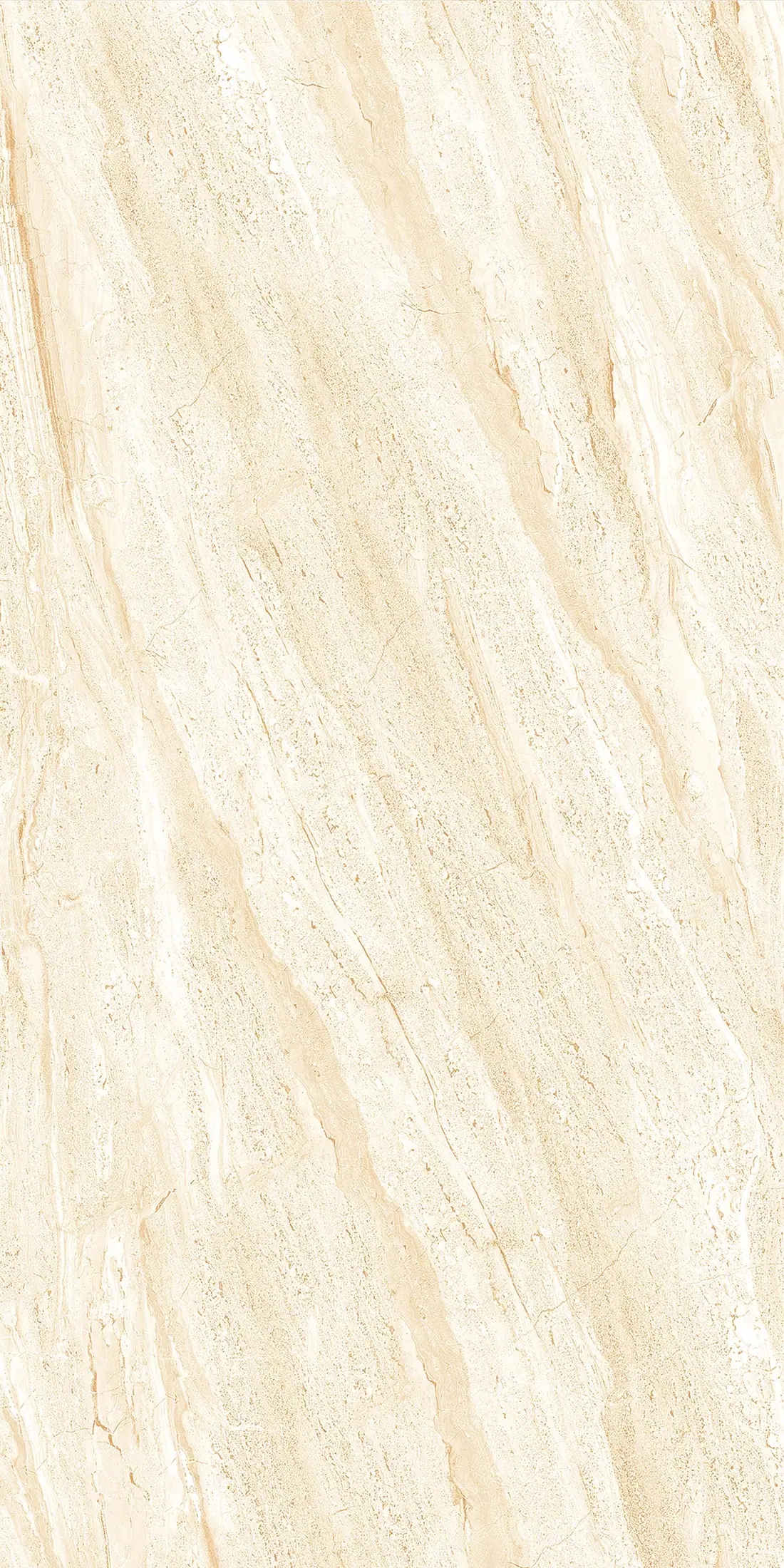 Dyna Beige · R2