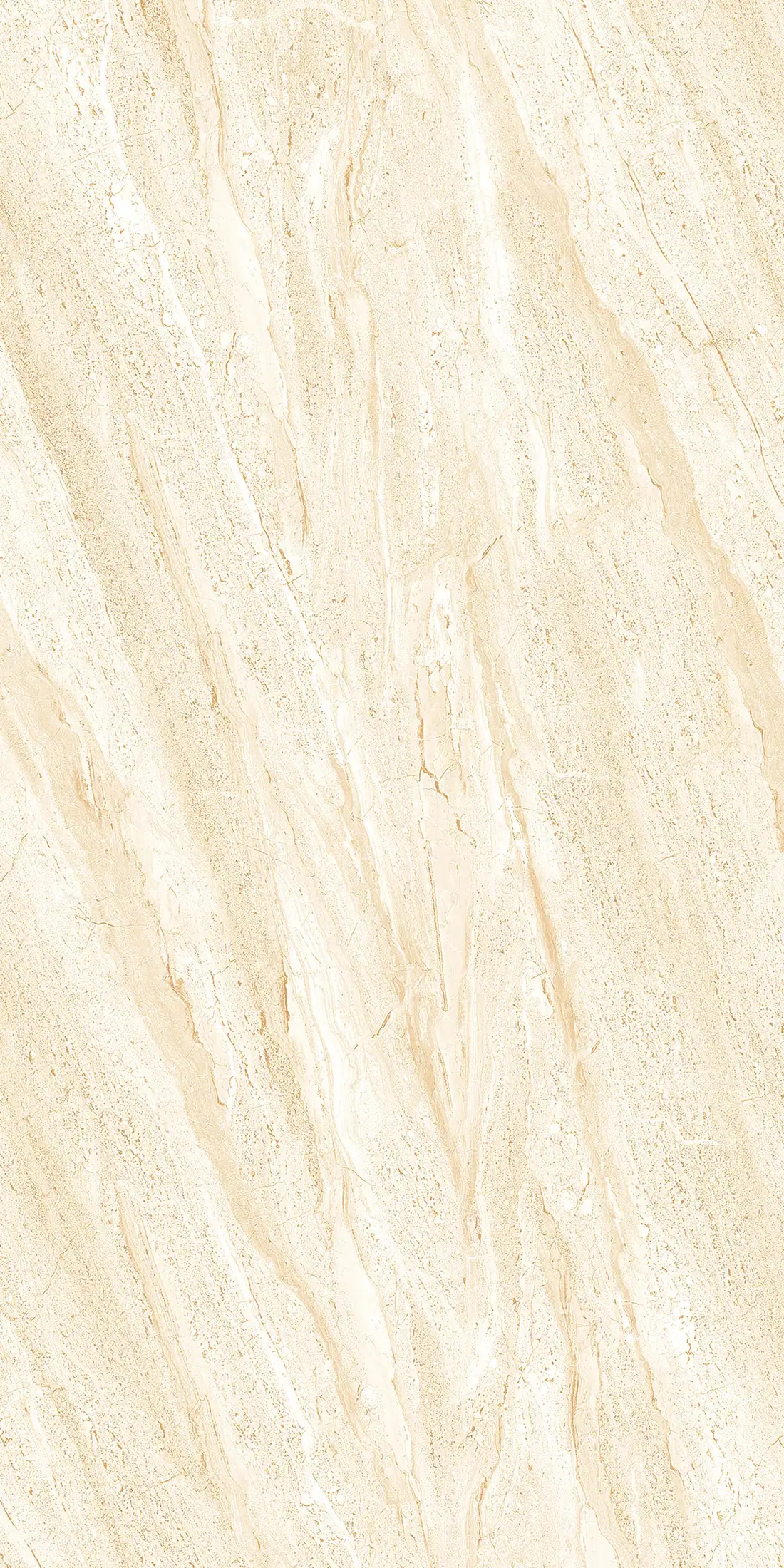 Dyna Beige · R3