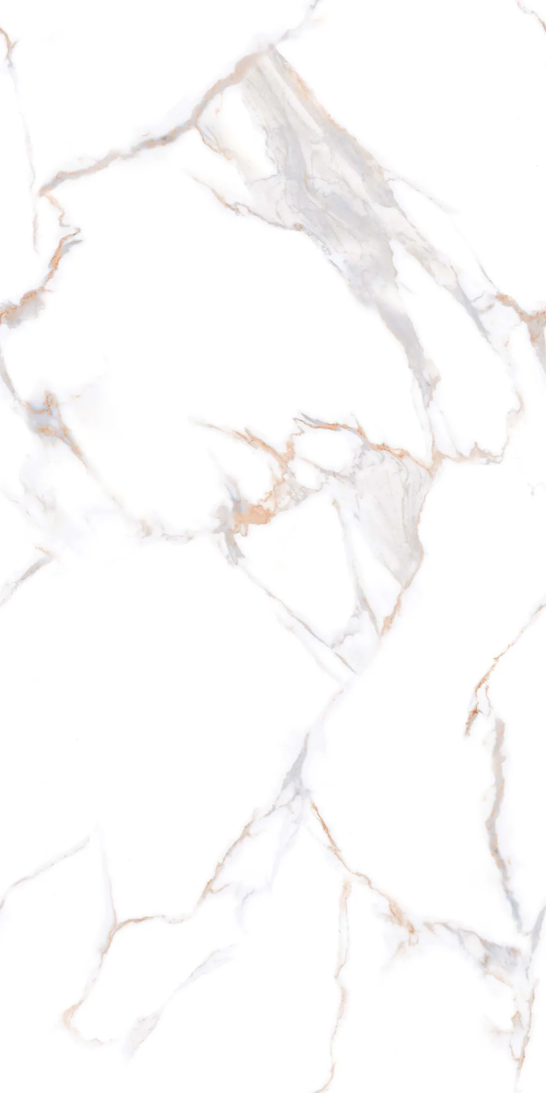 Mg Christy White · R3