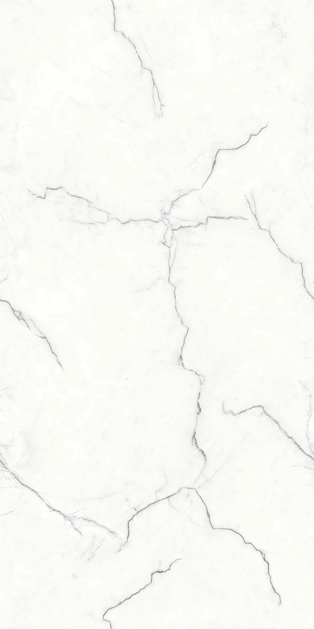 Mg Frido Grey · 4