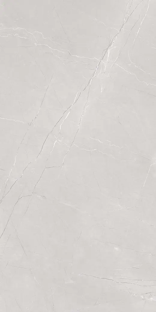Pulpis Silver (Fstb2s024-G7)