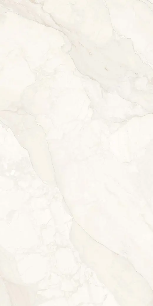 Rooster Crema(Nta4141-2) Copy