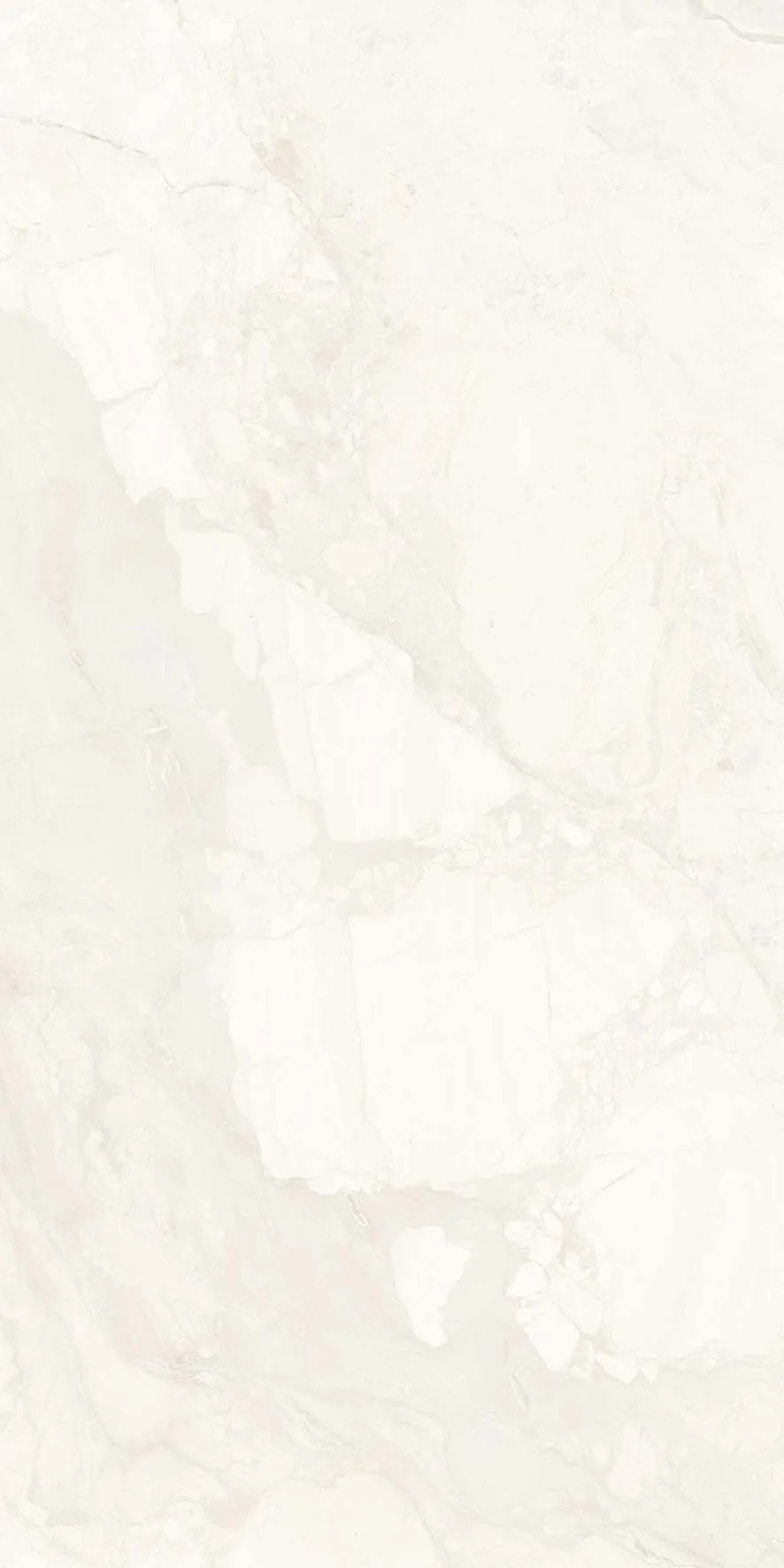 Rooster Crema(Nta4141-2) Copy · 2