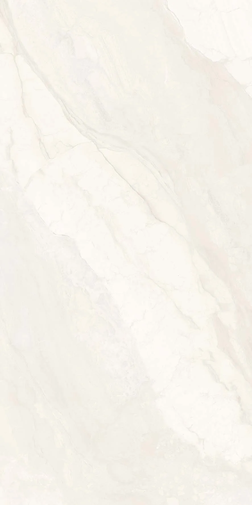 Rooster Crema(Nta4141-2) Copy · 3