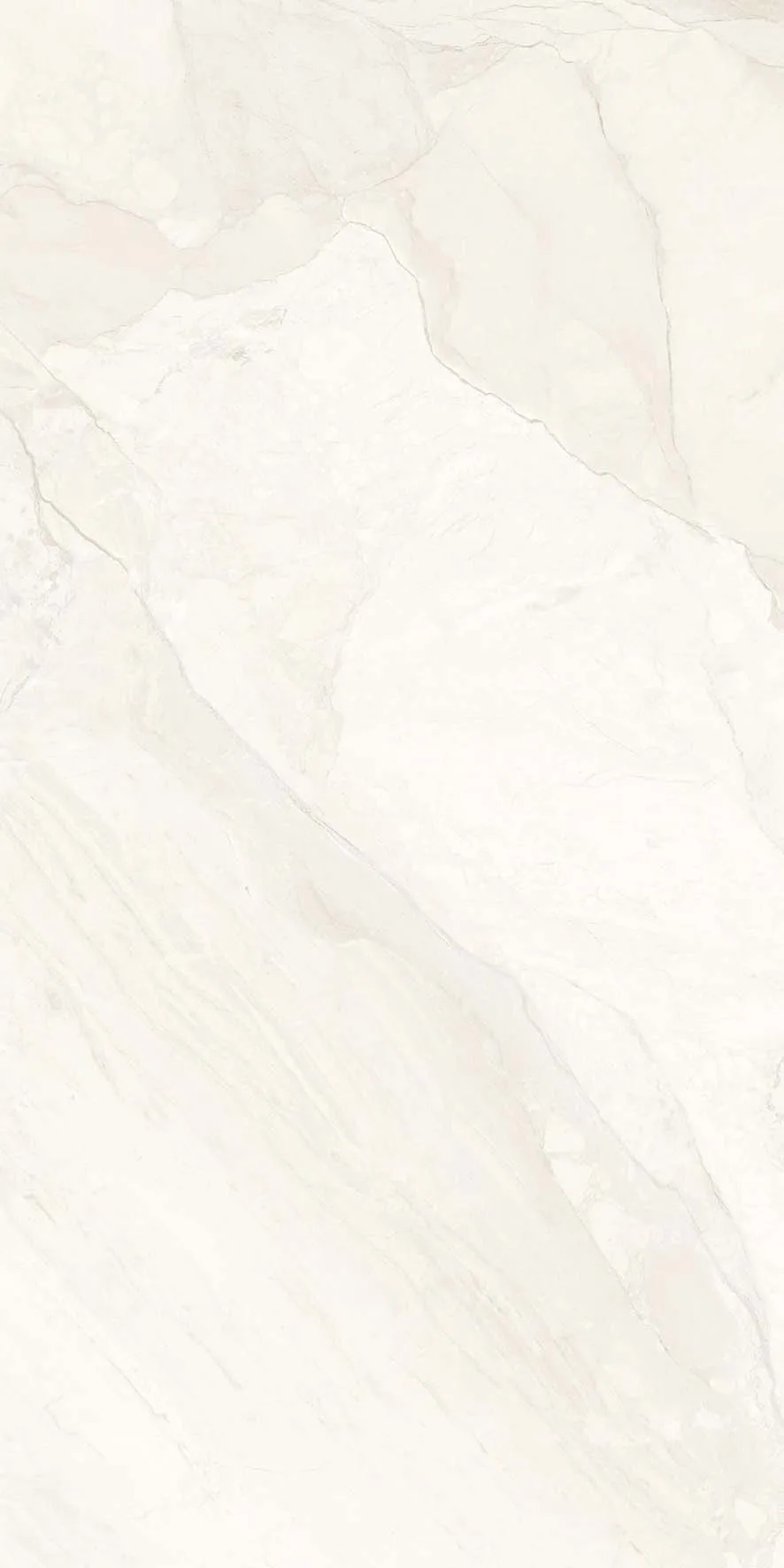 Rooster Crema(Nta4141-2) Copy · 4