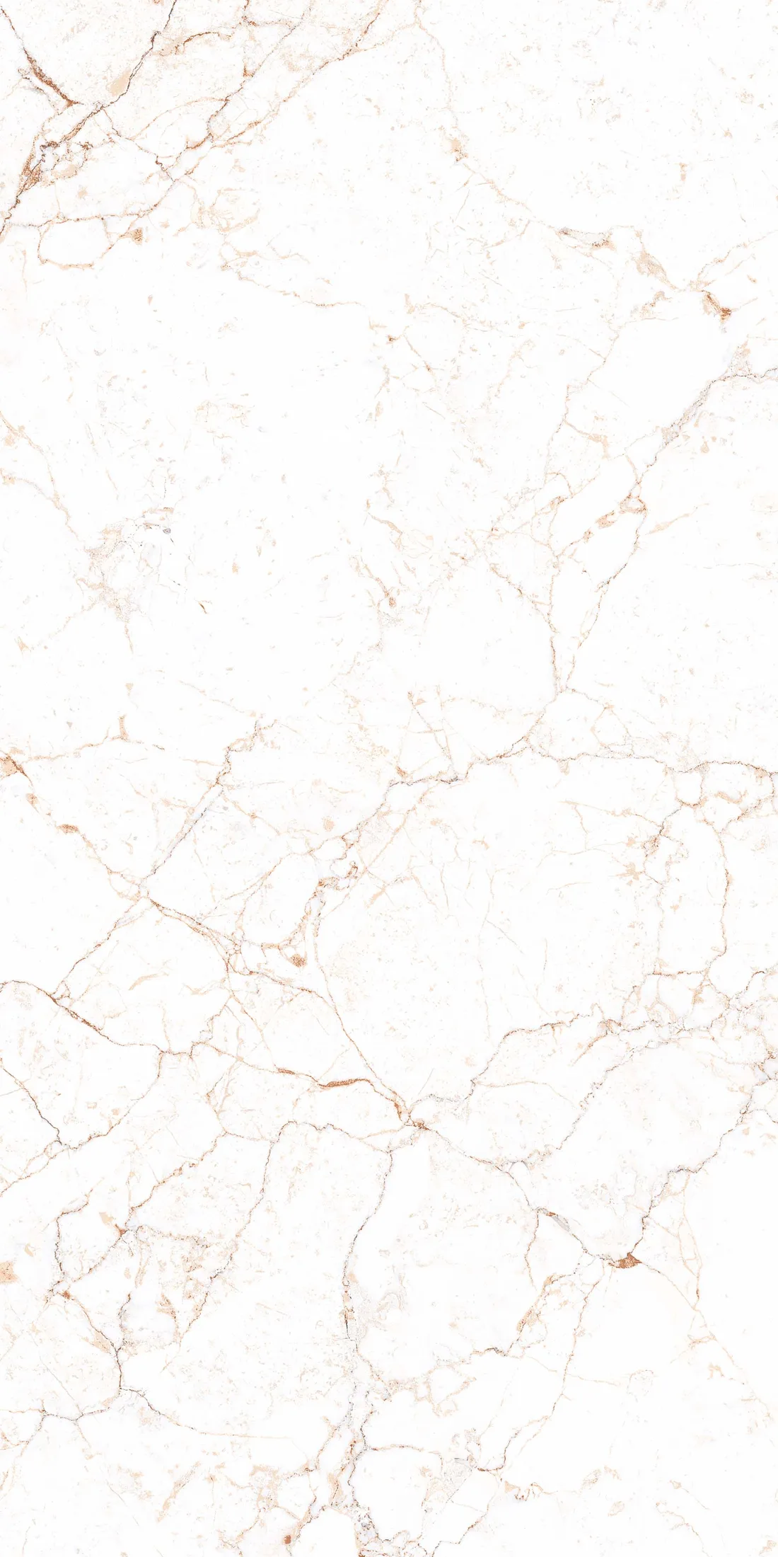 Rosalia Bianco · R3