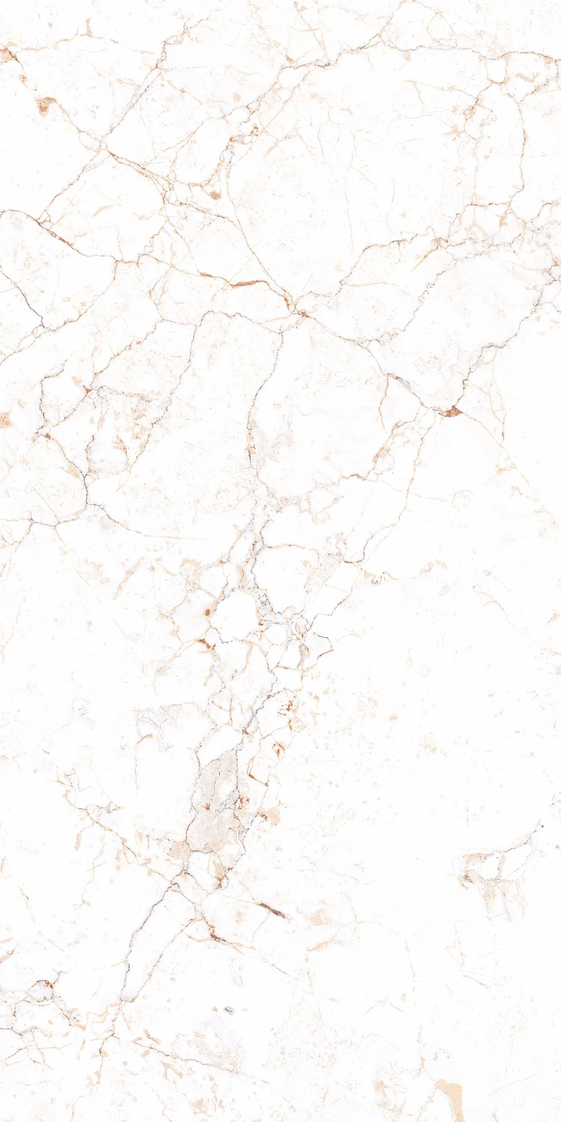 Rosalia Bianco · R4