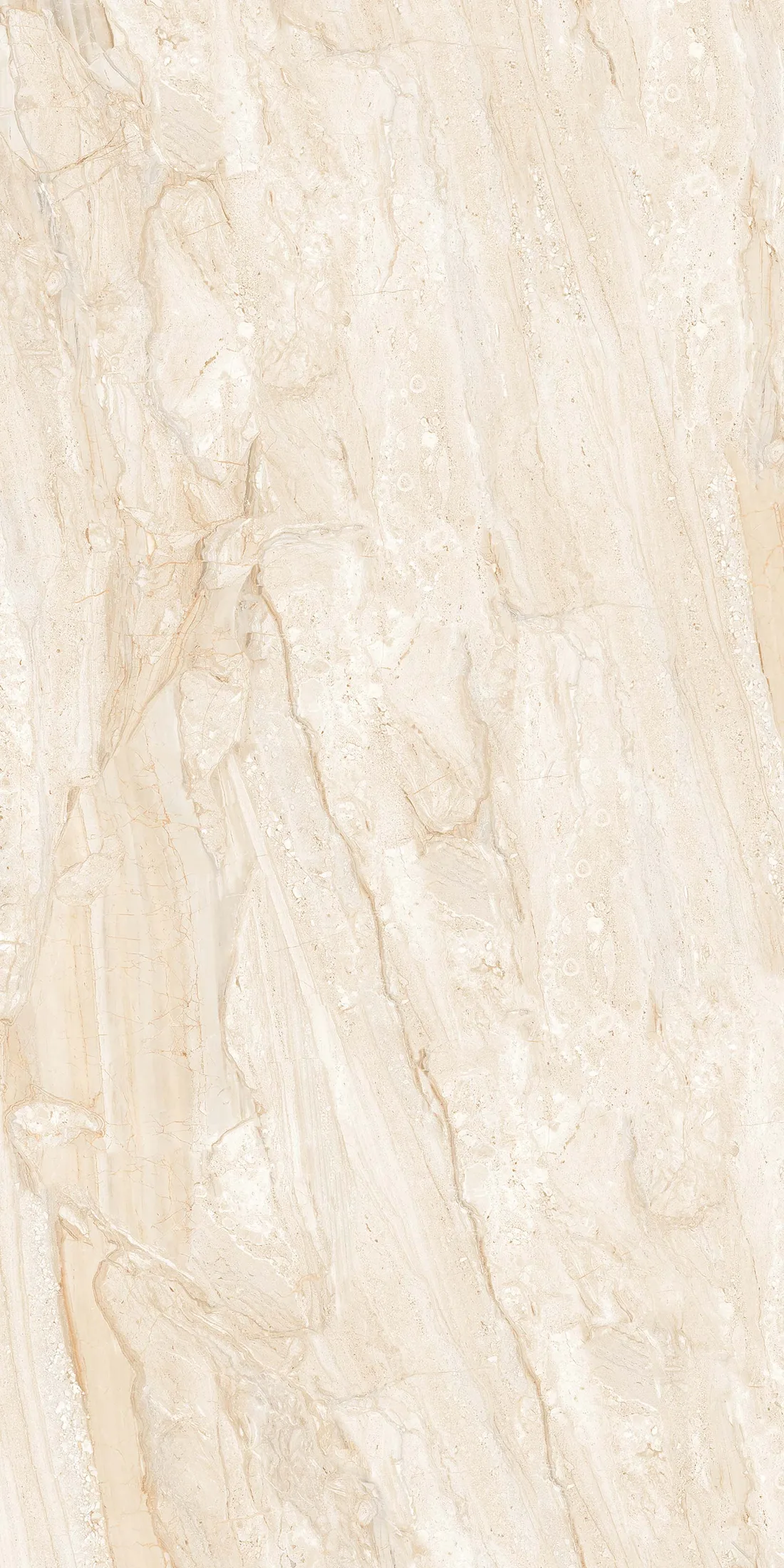 Royal Dyna Natural · R2