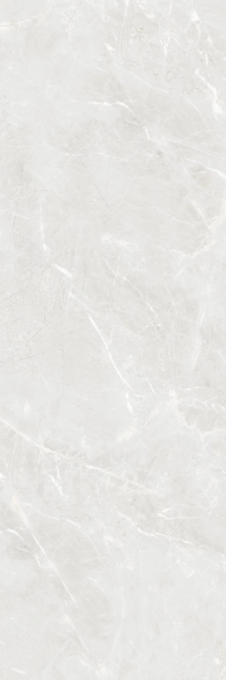 Florina Bianco · R2