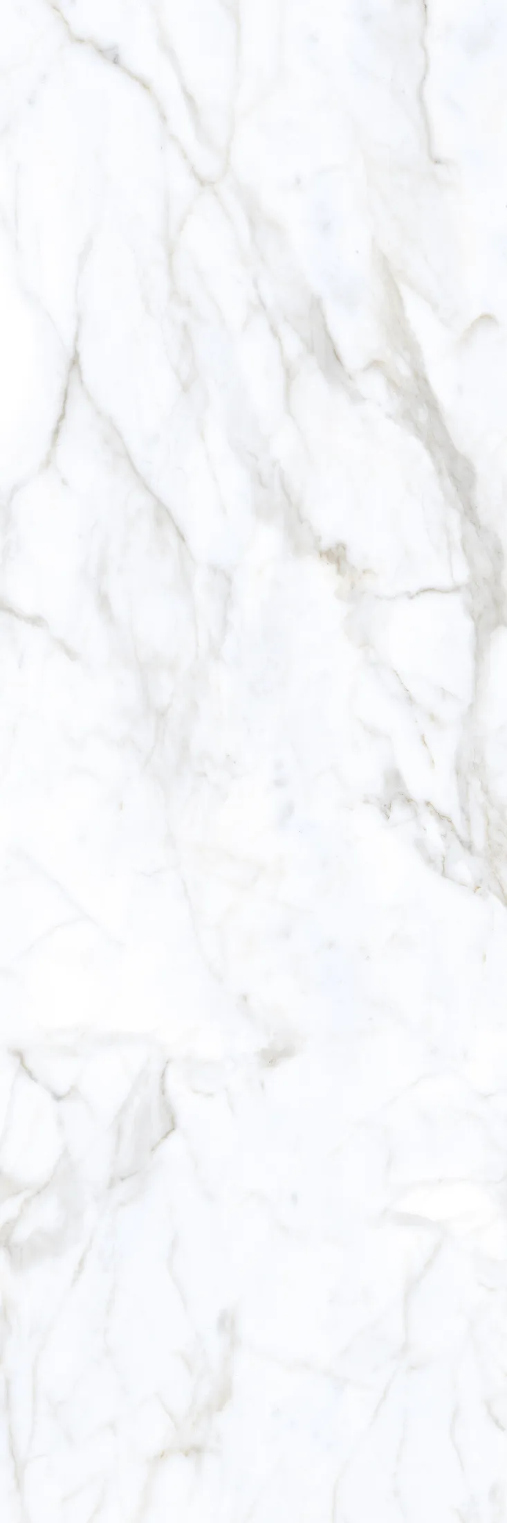 Venato Satvario · R1