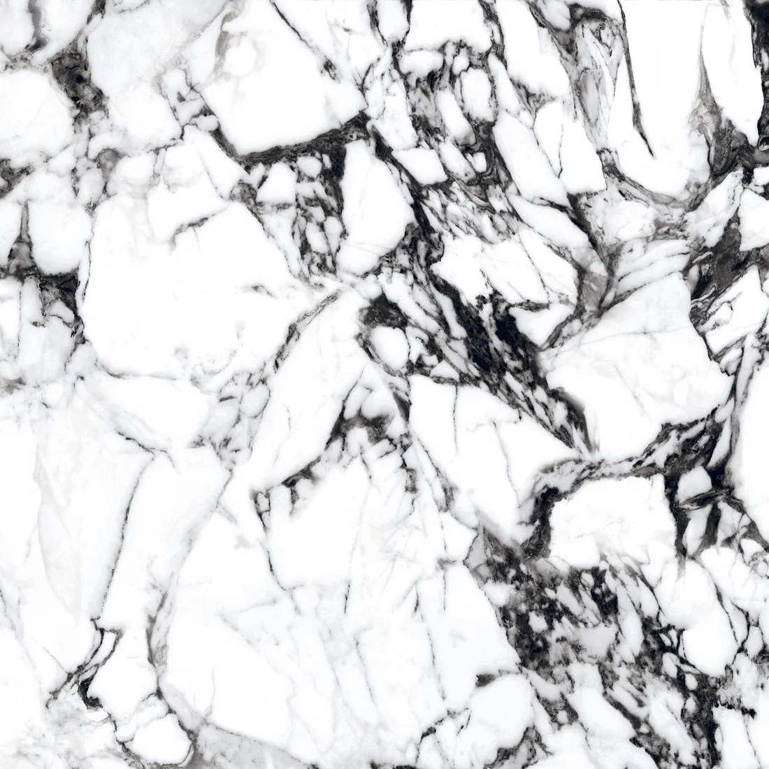 Mershy White · P3