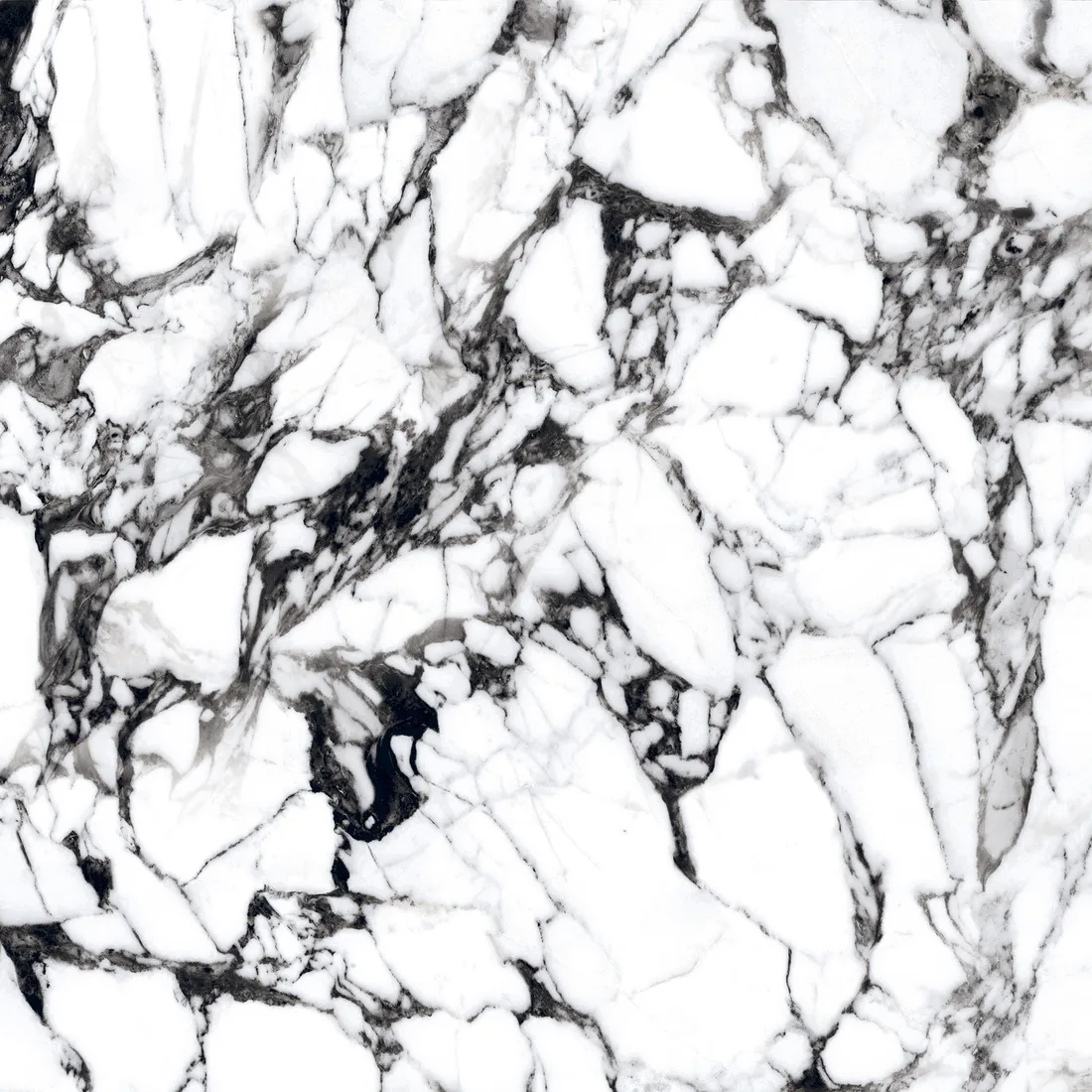Mershy White · P4