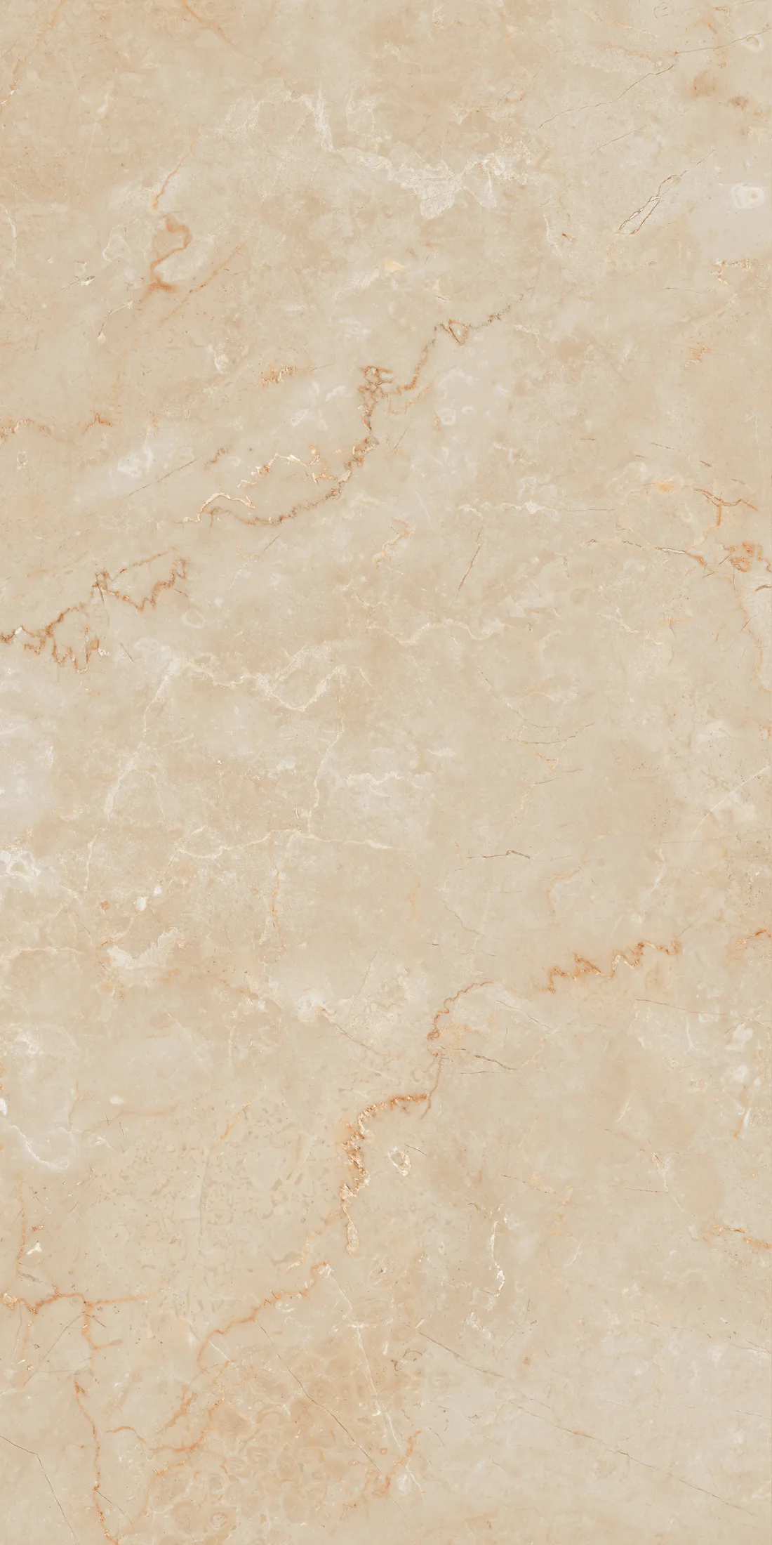 Alexa Beige · R1