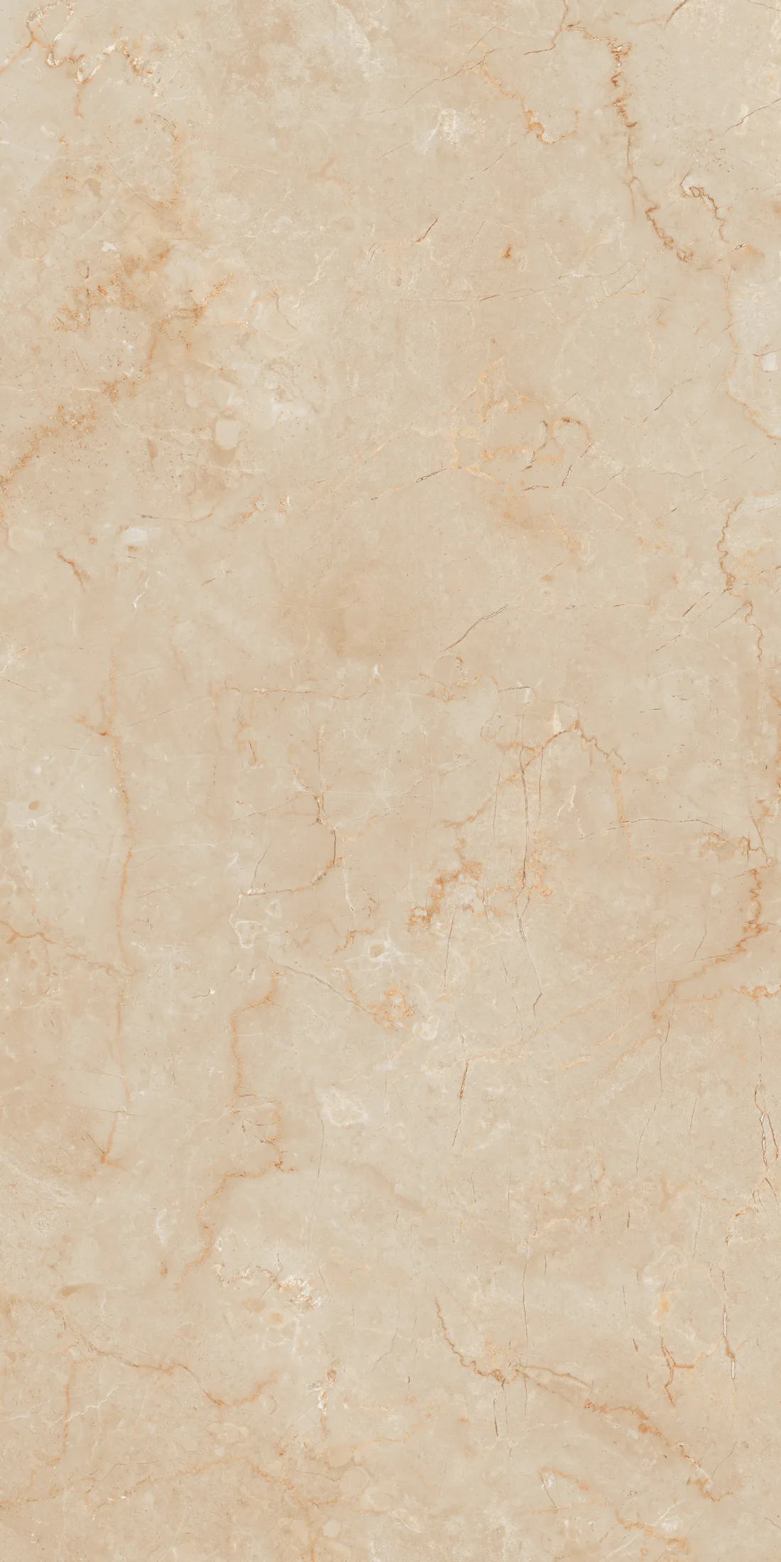 Alexa Beige · R2