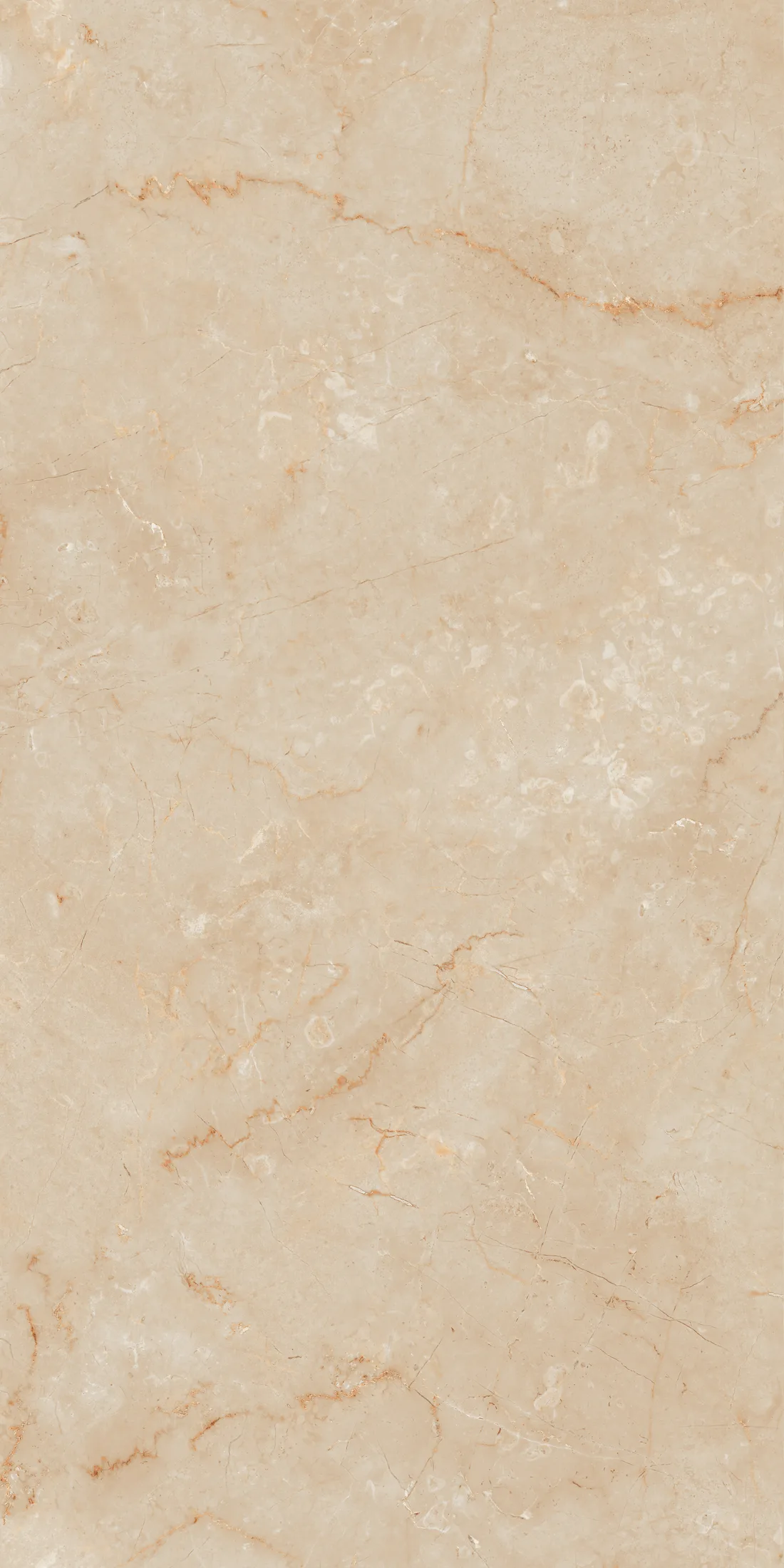 Alexa Beige · R3