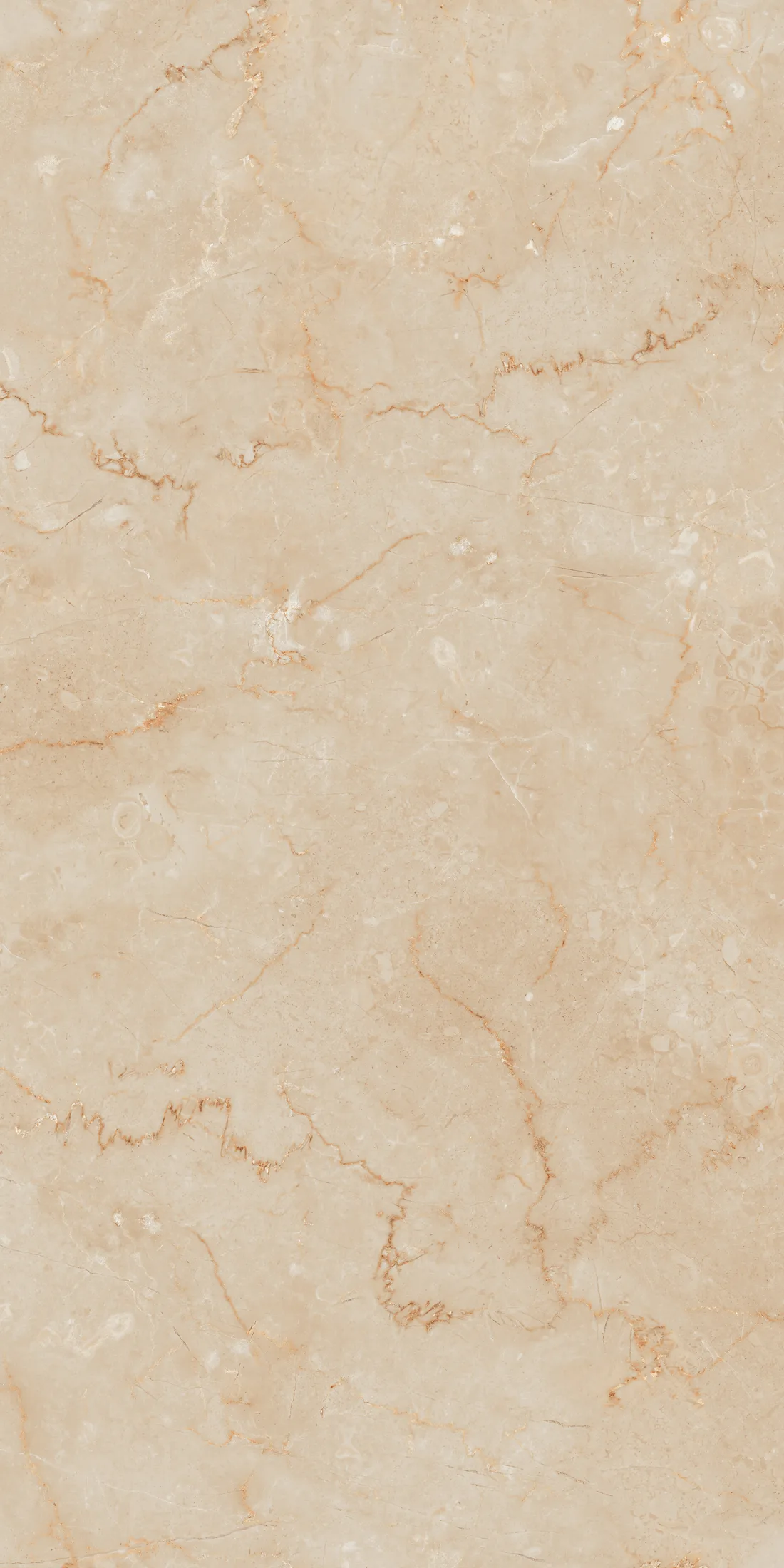 Alexa Beige · R4