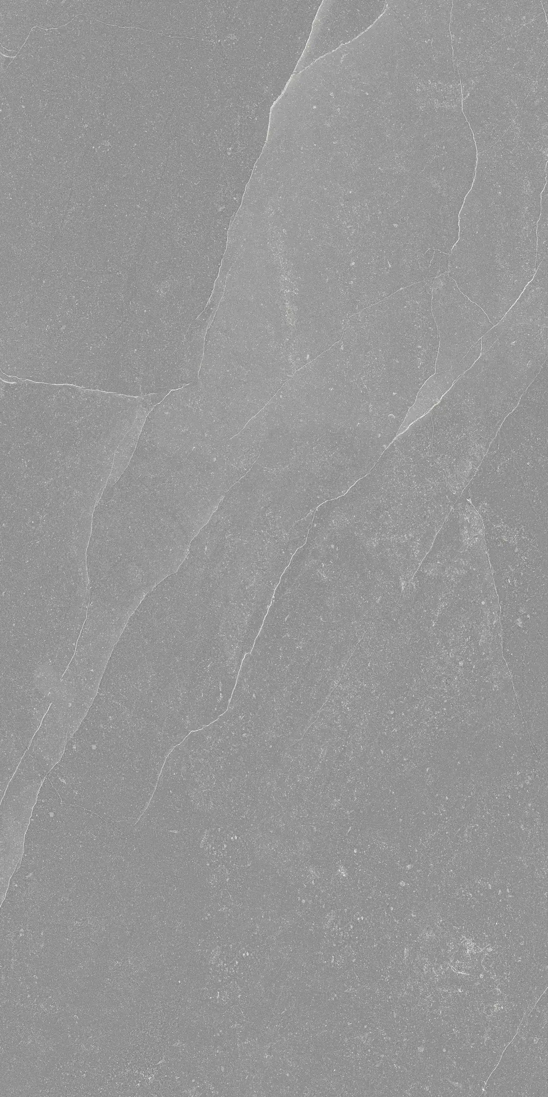 Burney Dark Grey · R1
