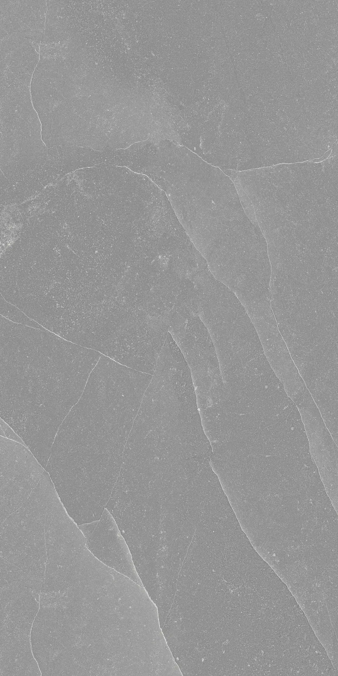 Burney Dark Grey · R2