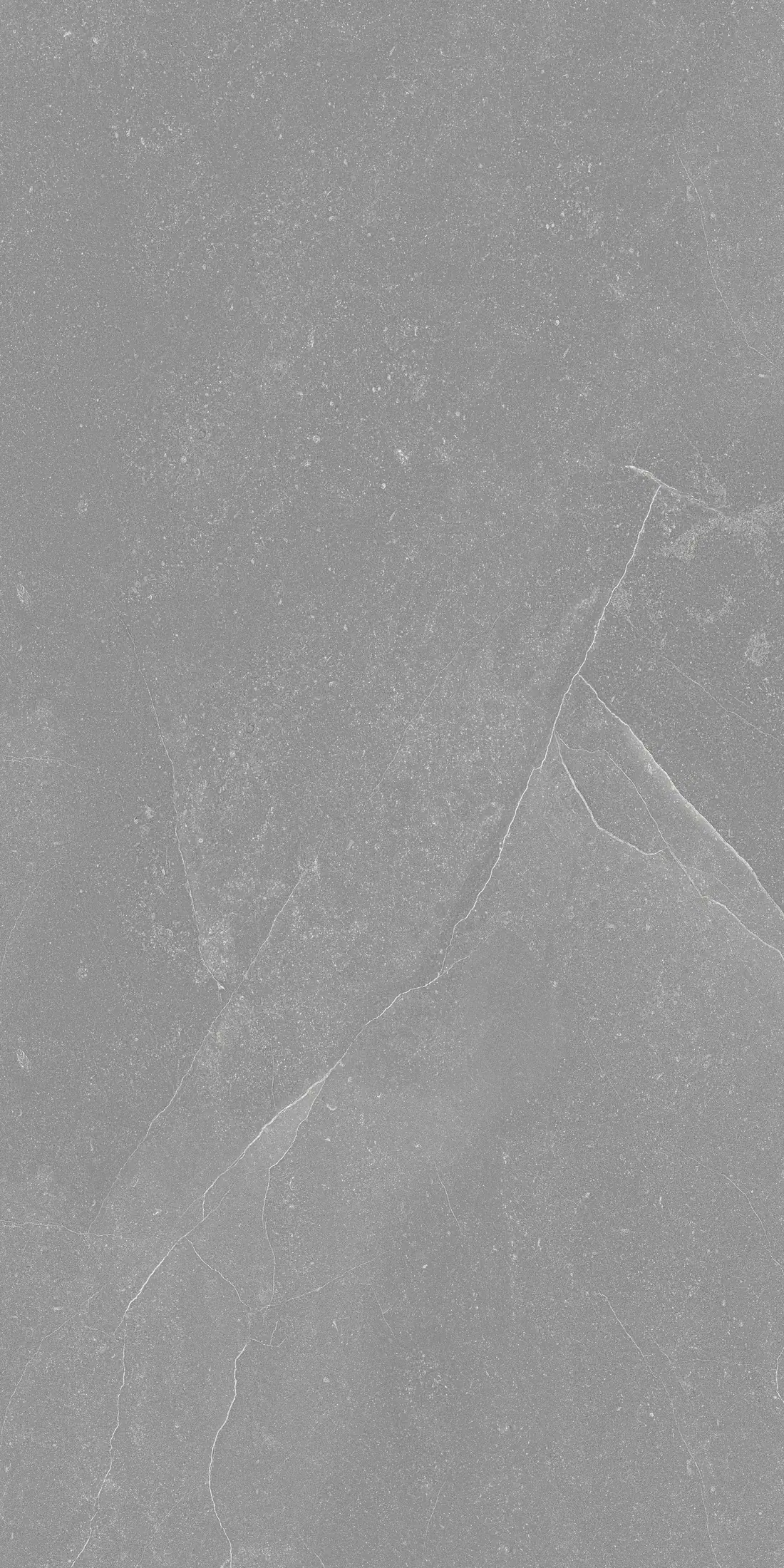 Burney Dark Grey · R3
