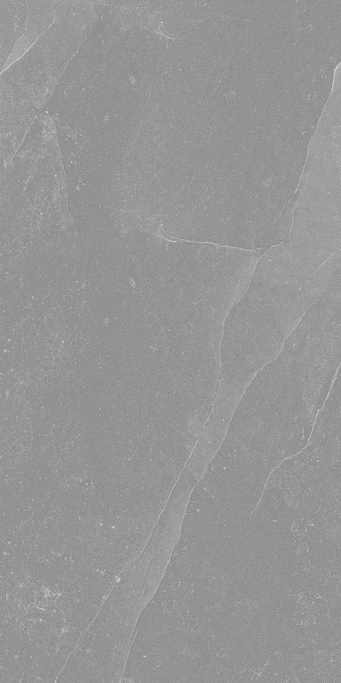Burney Dark Grey · R4