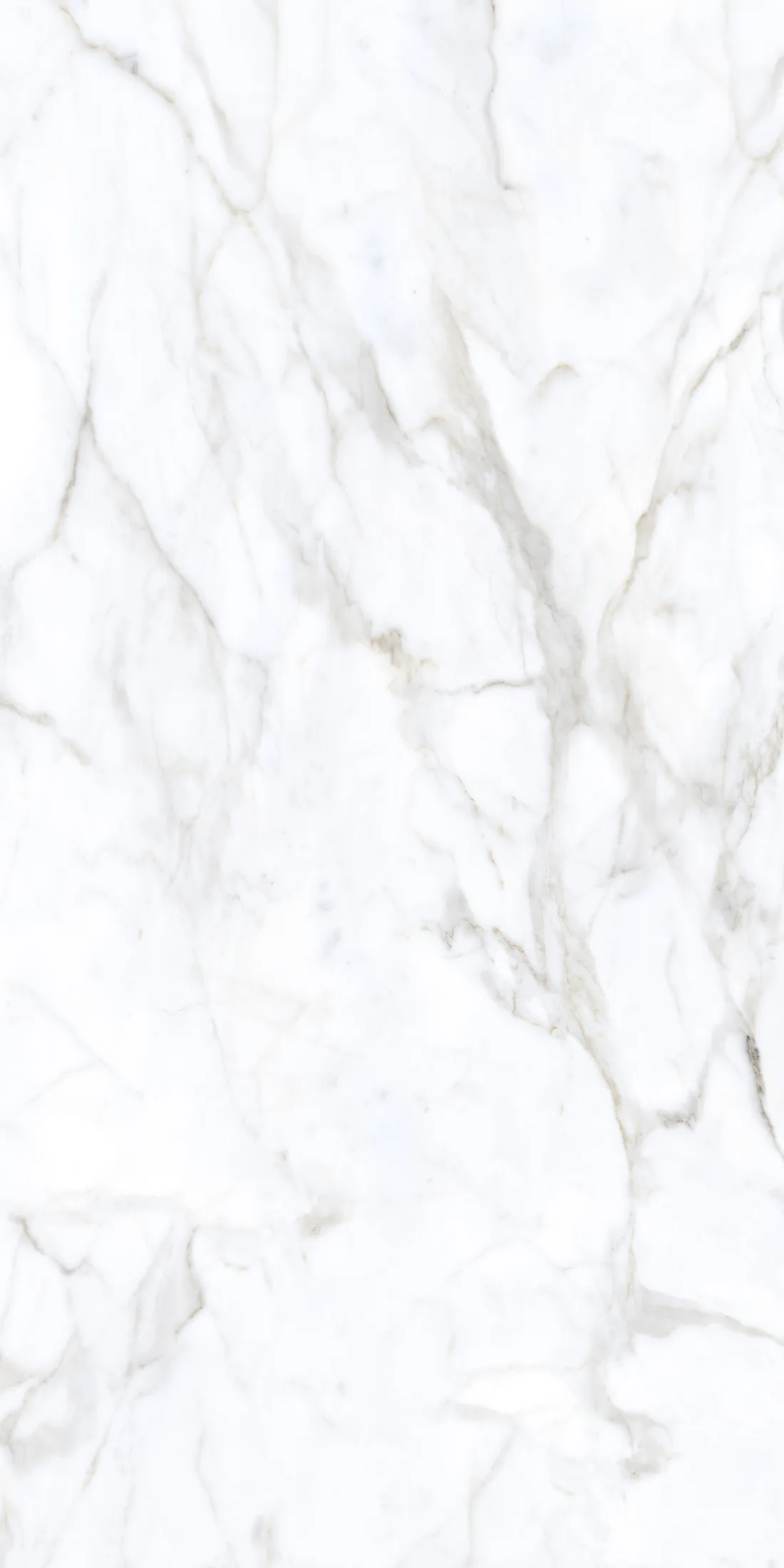 Casa White · R1