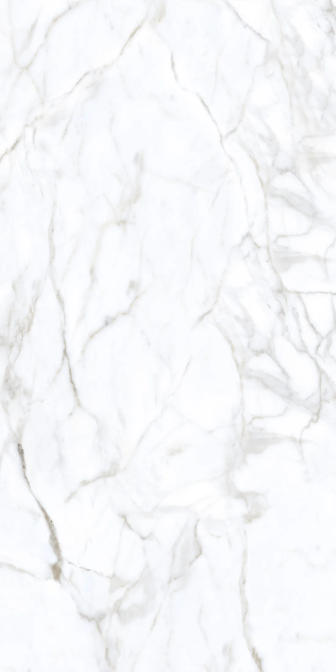 Casa White · R2