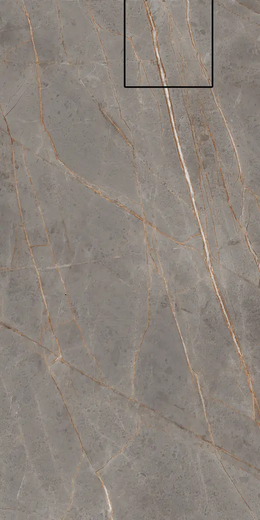 Celopatra R1cut
