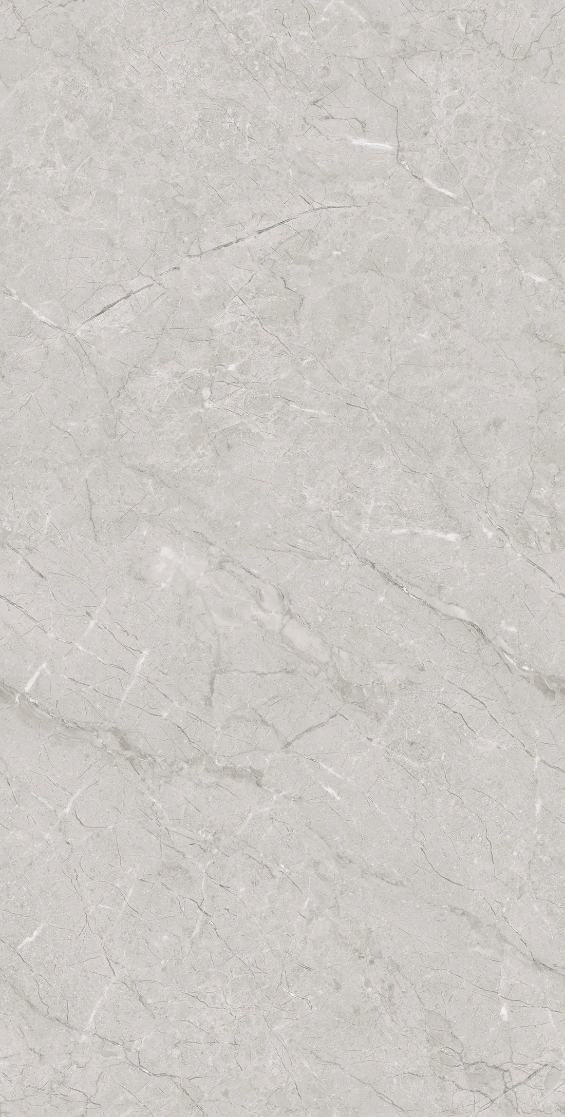 Dalkey Grey · F1