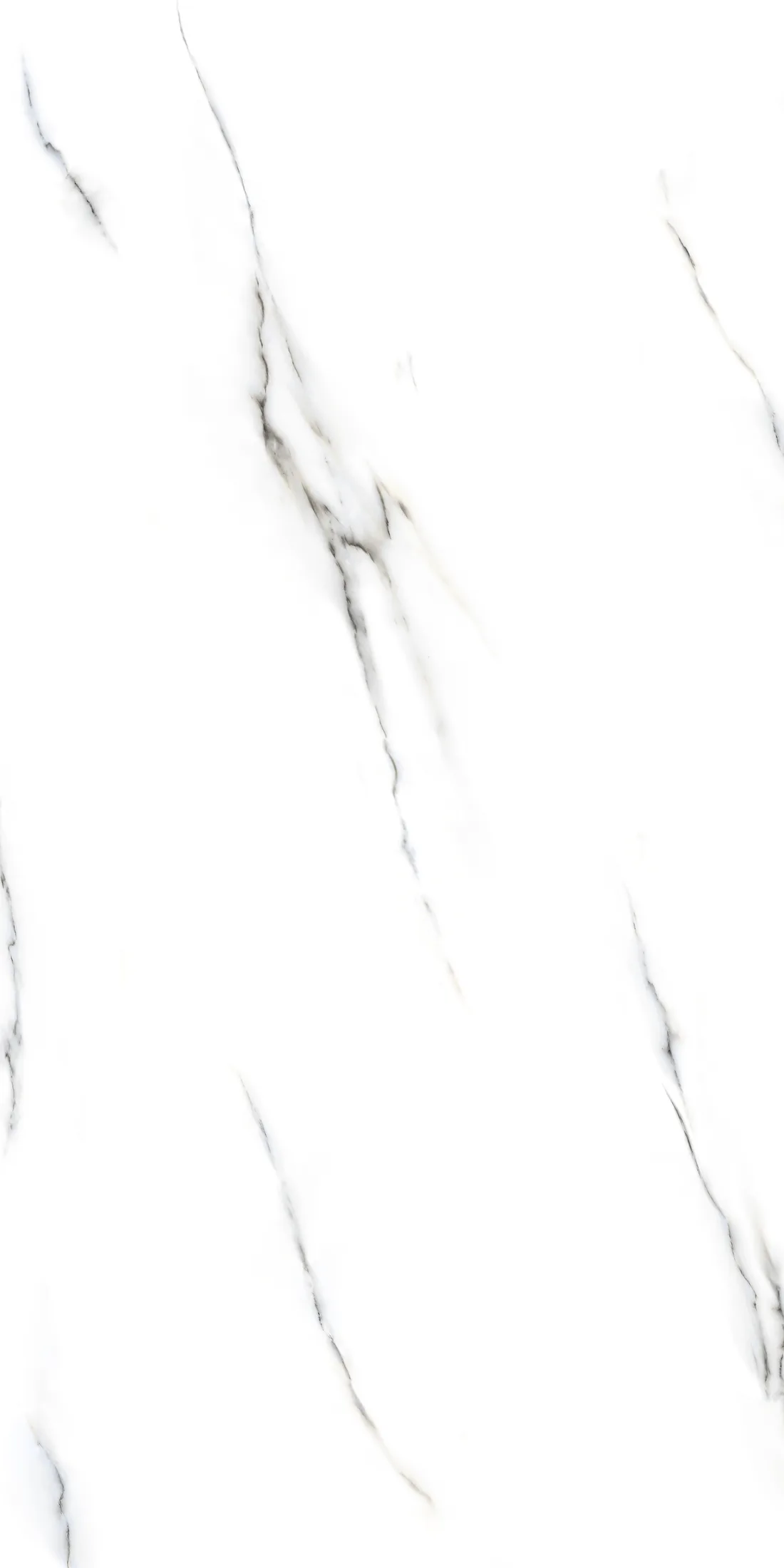 Zas White · R1