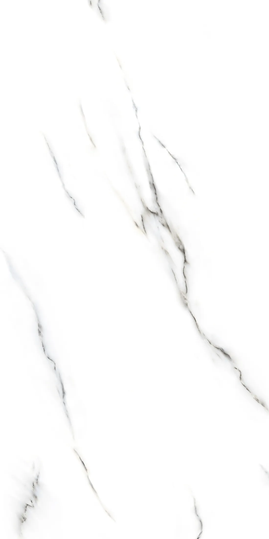 Zas White · R2