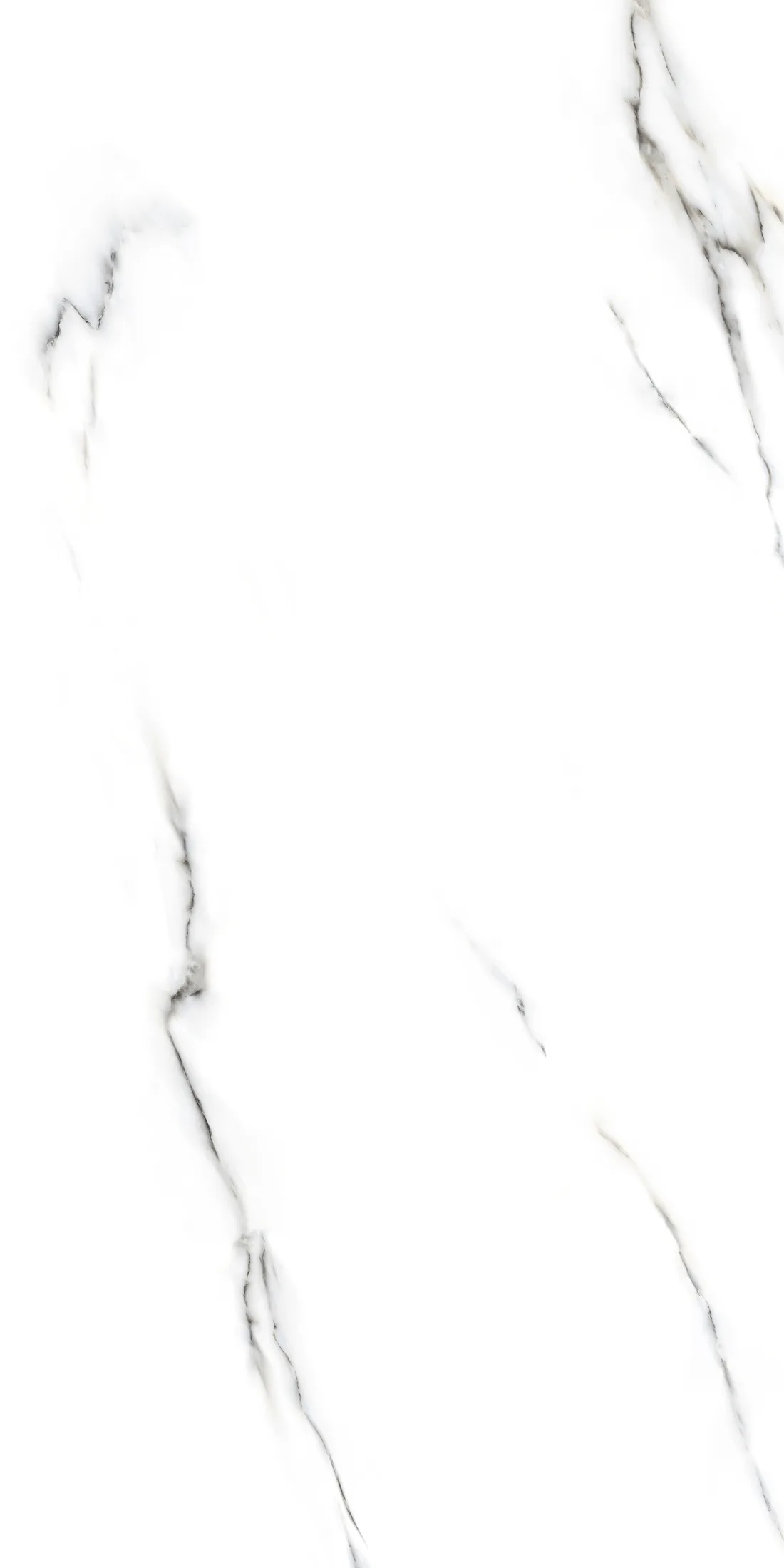 Zas White · R3