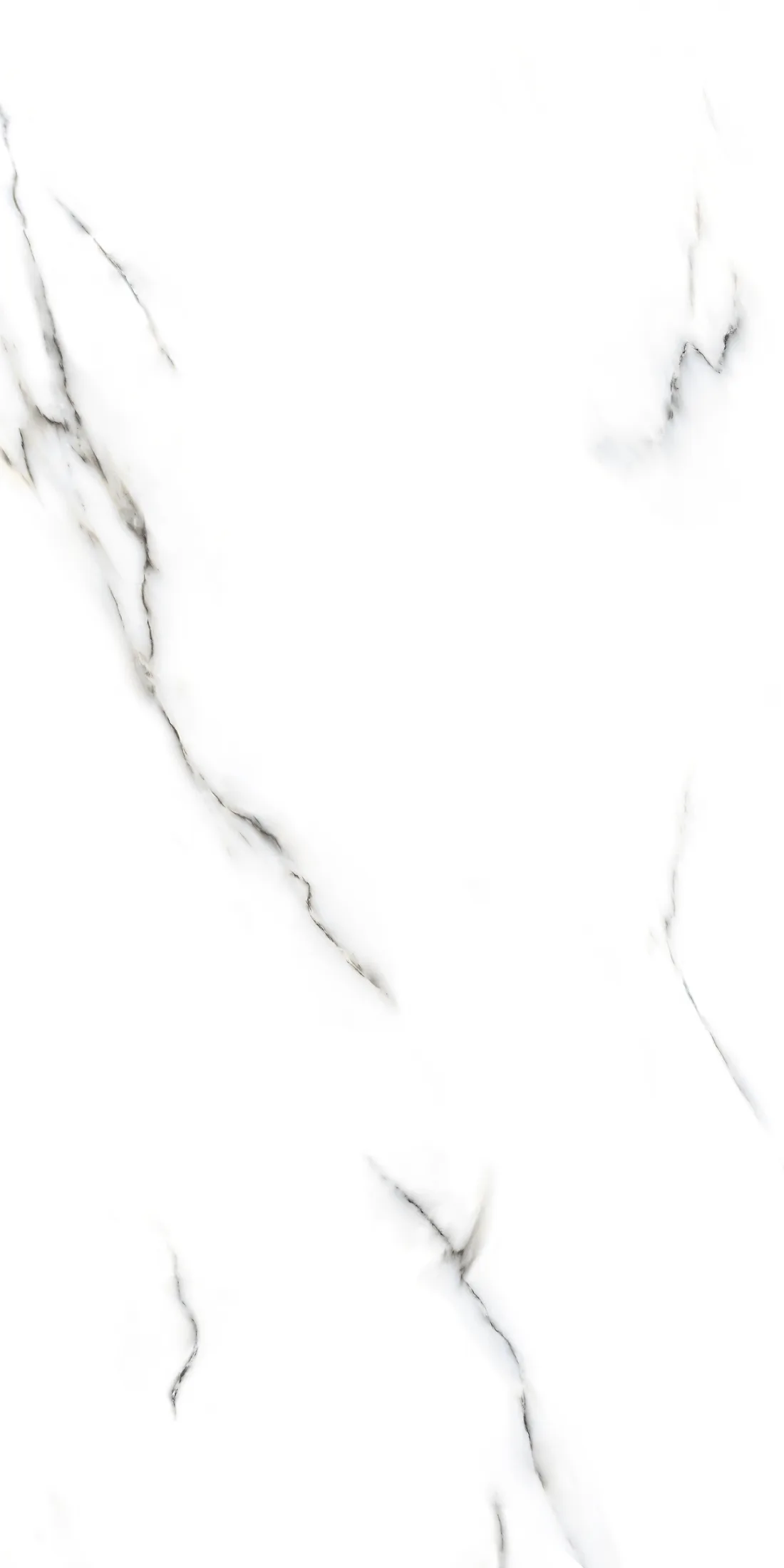 Zas White · R4